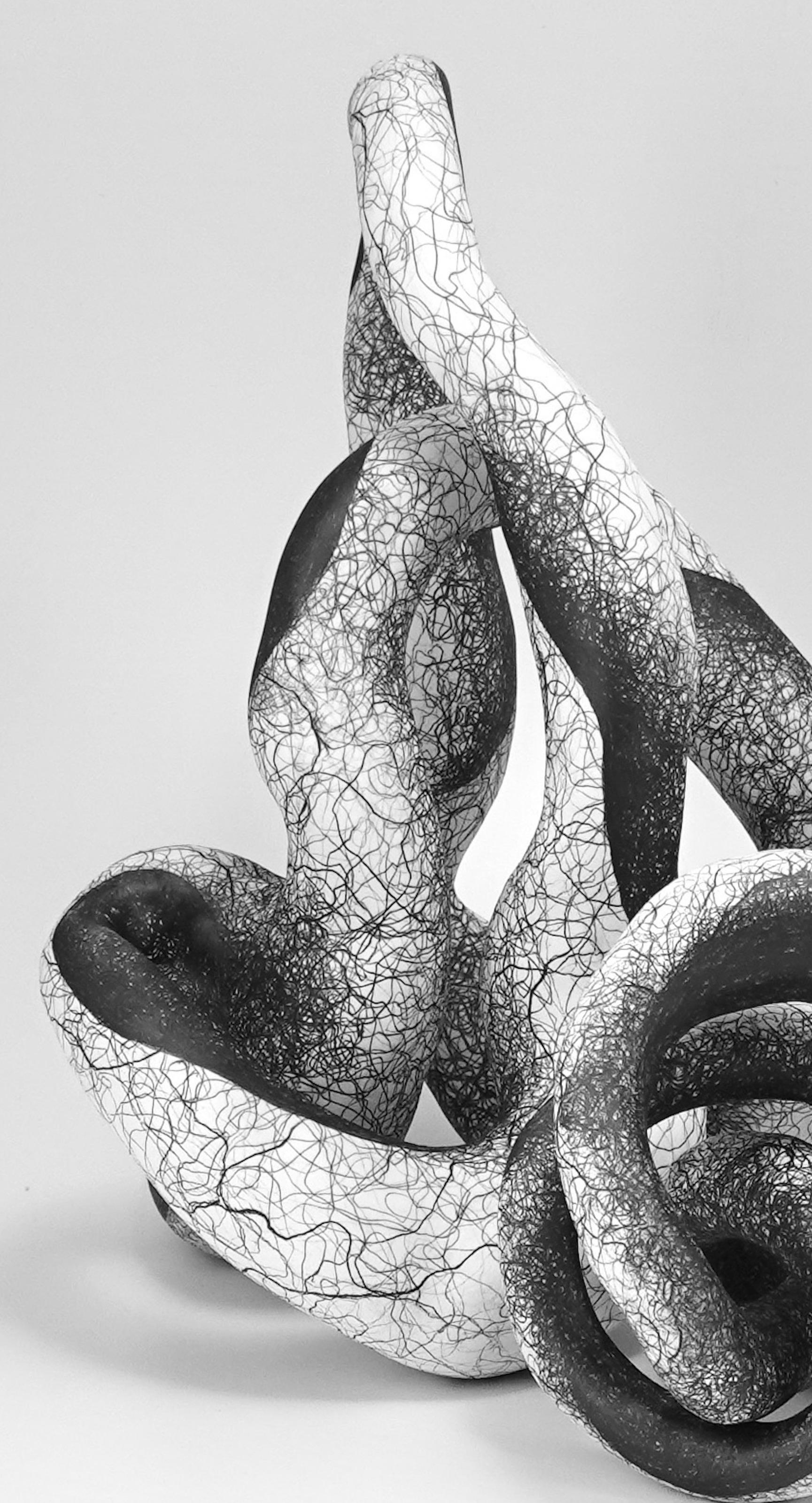 Judi Tavill( NJ) creates biomorphic abstraction coupling sculpture with drawing that references the complicated experience of connection and entanglement.
After receiving her BFA from Washington University in Saint Louis, Tavill began her creative