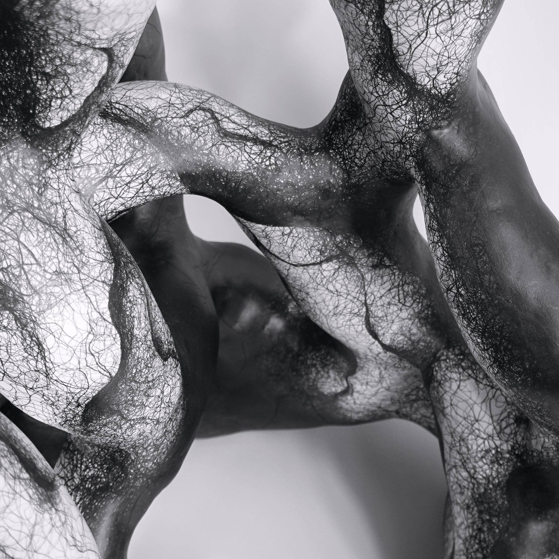 “My biomorphic abstractions range from intimate to immersive in scale, referencing our interconnectedness. 
 Building curvilinear ceramic sculpture and then drawing intertwined graphite lines on the surface, creates energy that seems to emanate from