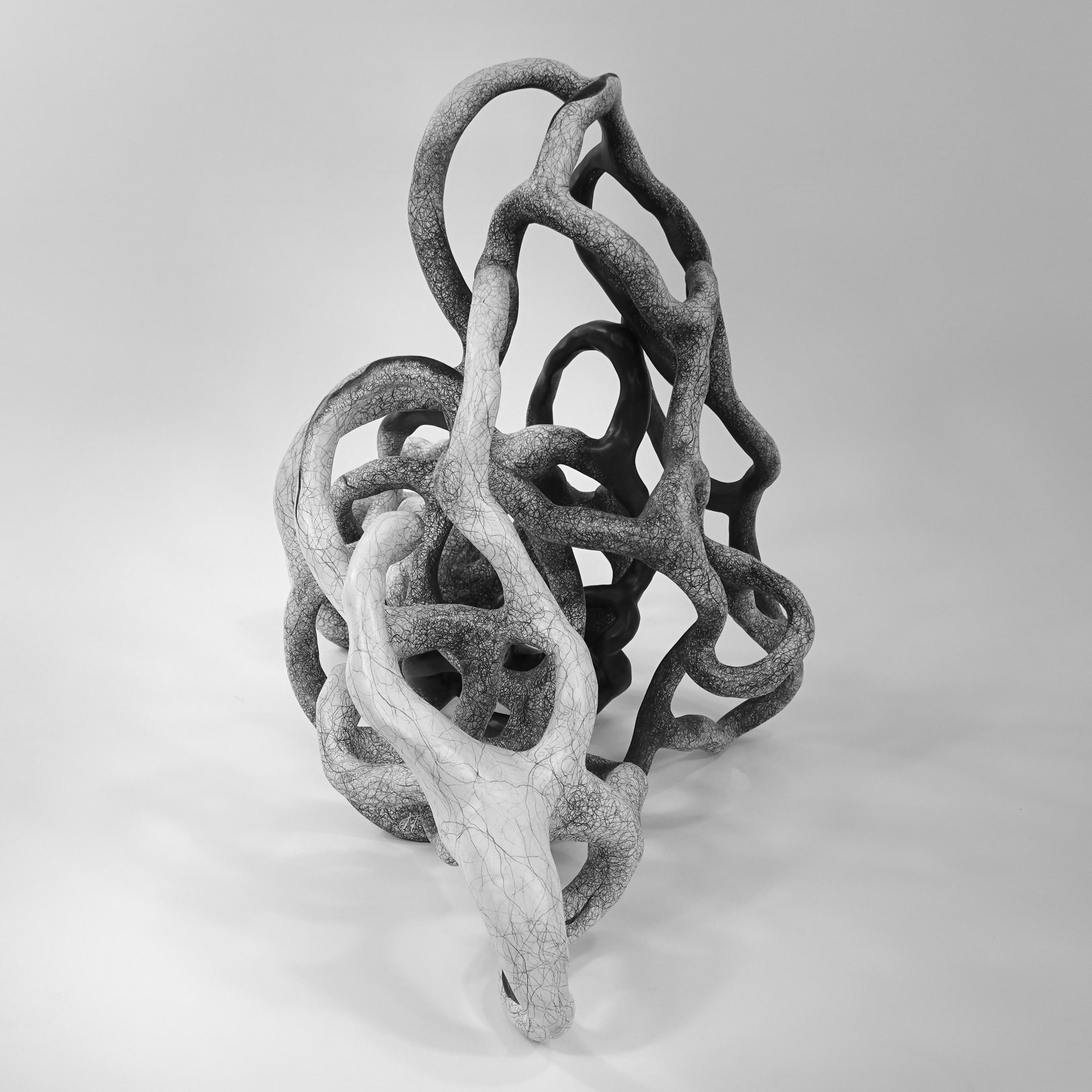 “My biomorphic abstractions range from intimate to immersive in scale, referencing our interconnectedness. 
 Building curvilinear ceramic sculpture and then drawing intertwined graphite lines on the surface, creates energy that seems to emanate from