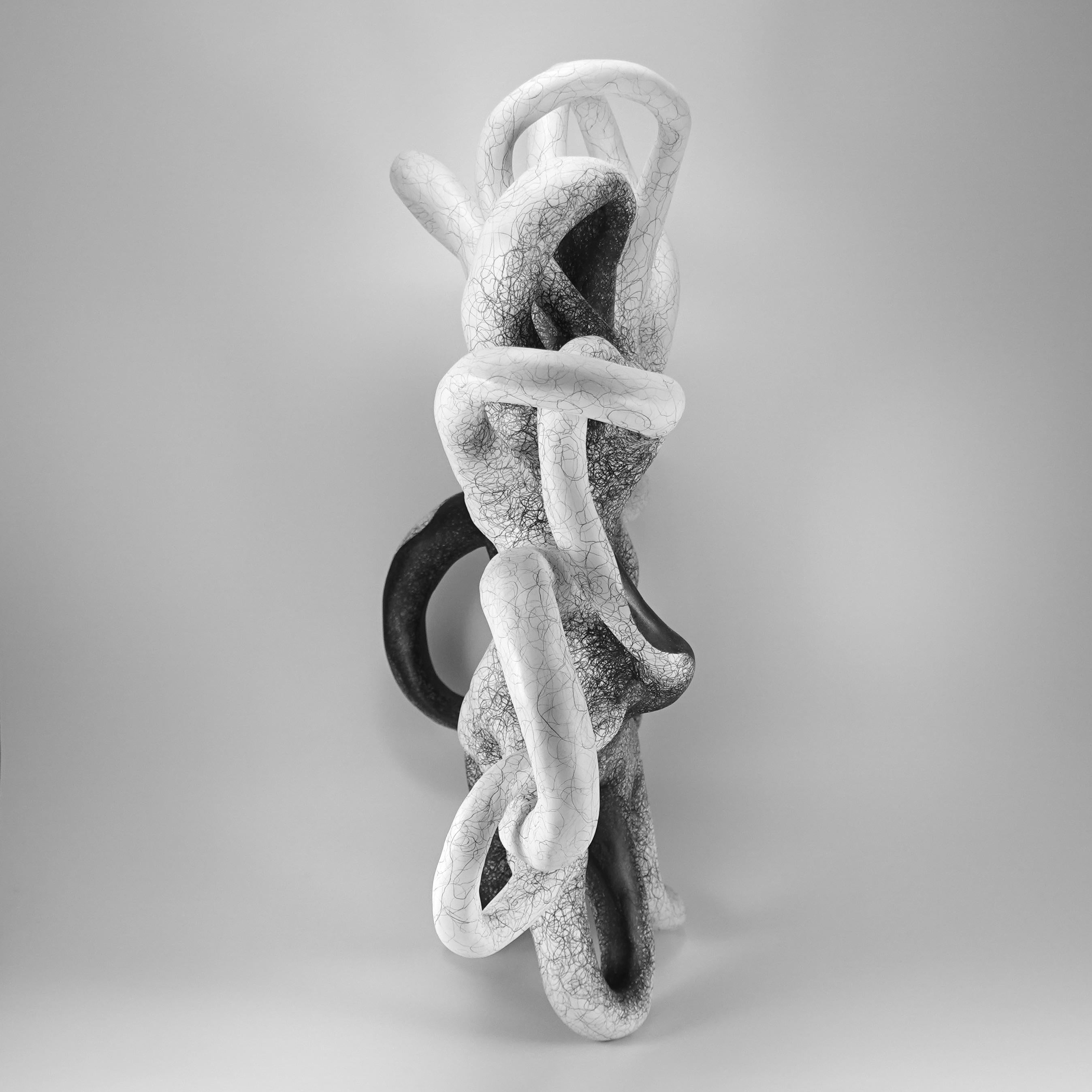 
“My biomorphic abstractions range from intimate to immersive in scale, referencing our interconnectedness. 
 Building curvilinear ceramic sculpture and then drawing intertwined graphite lines on the surface, creates energy that seems to emanate