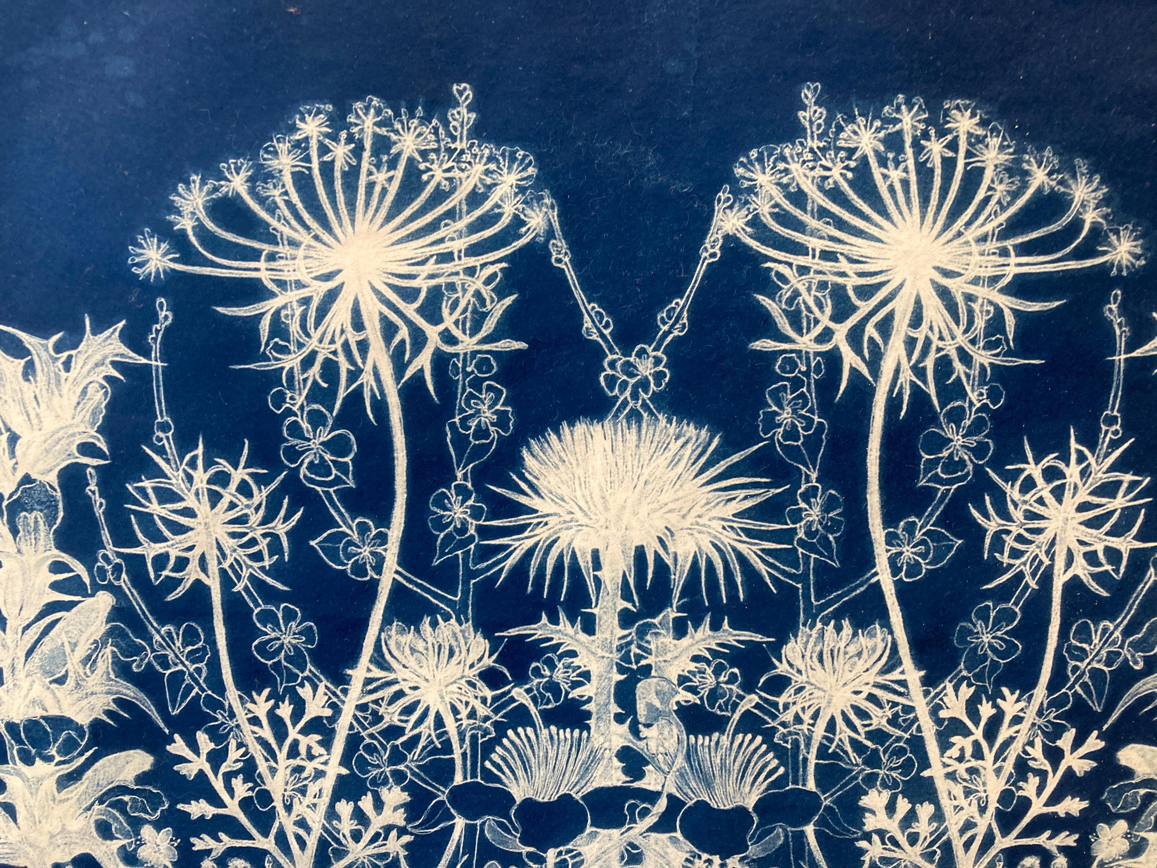 „Botanical Rhapsody II“  Realistisches/abstraktes Blumenmuster Fotografie Blau/Weiß (Realismus), Print, von Judith Allen-Efstathiou