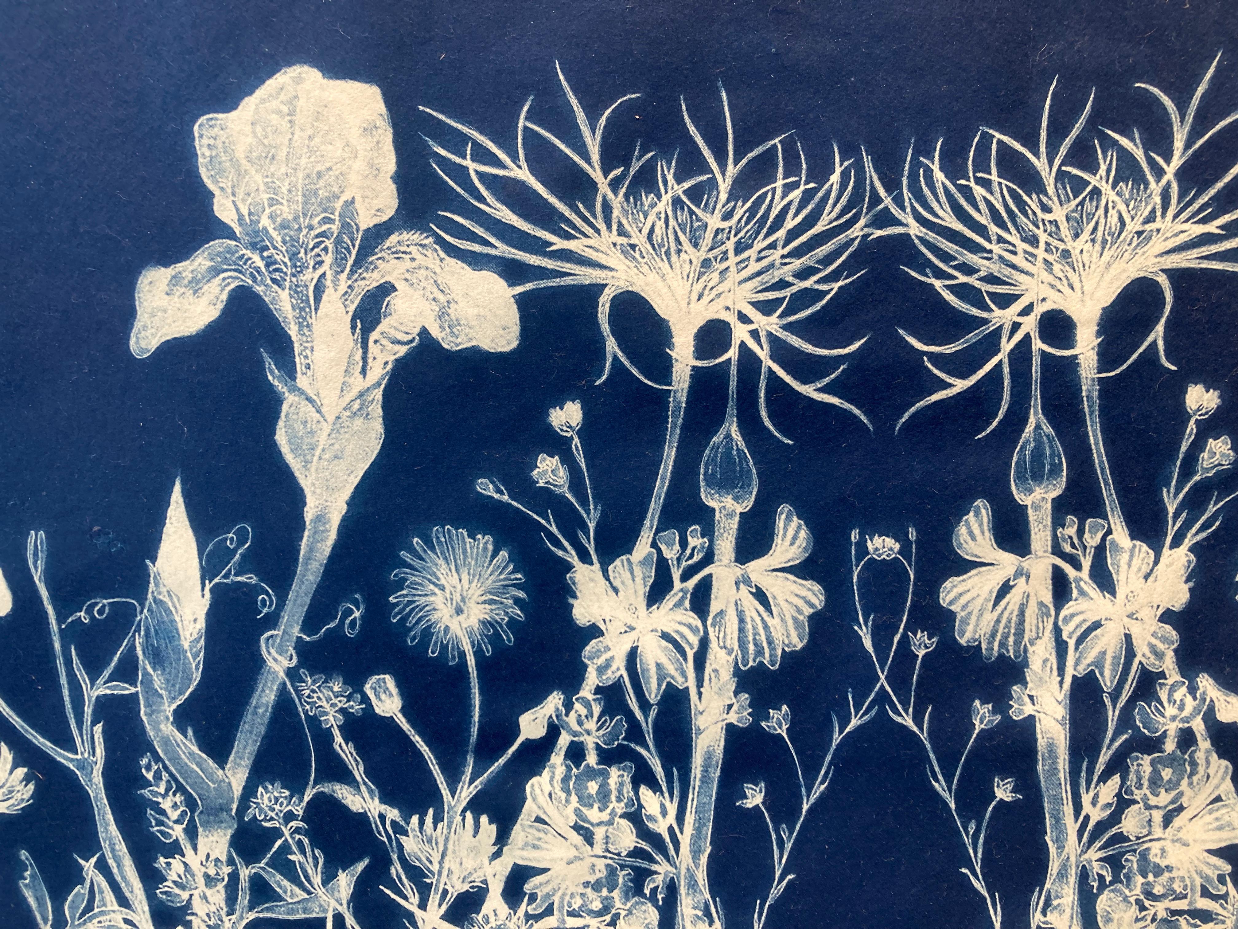 judith allen