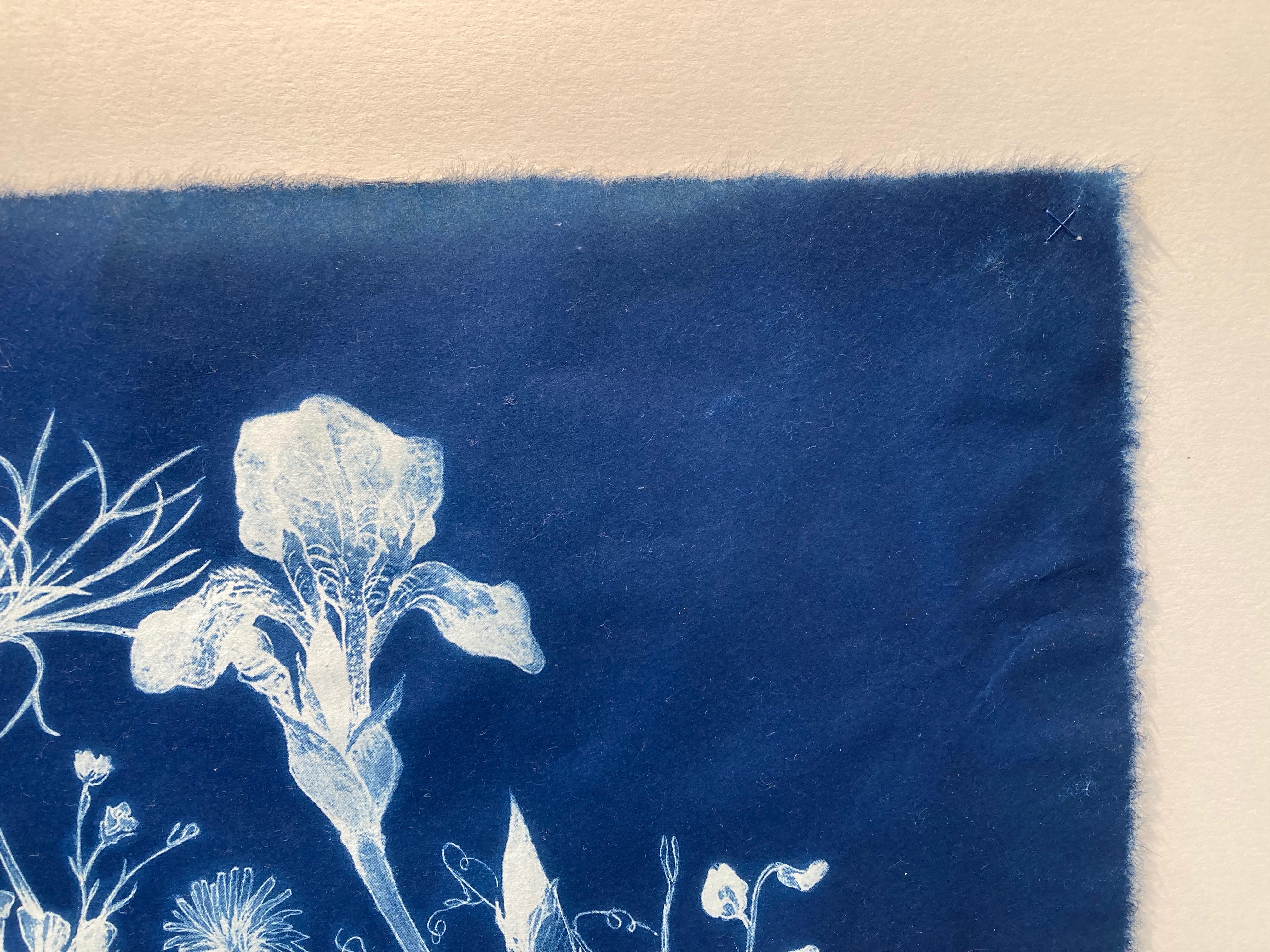 'Botanical Rhapsody'   Realistic/Abstract Floral Pattern Photograph Blue/White - Purple Still-Life Photograph by Judith Allen-Efstathiou