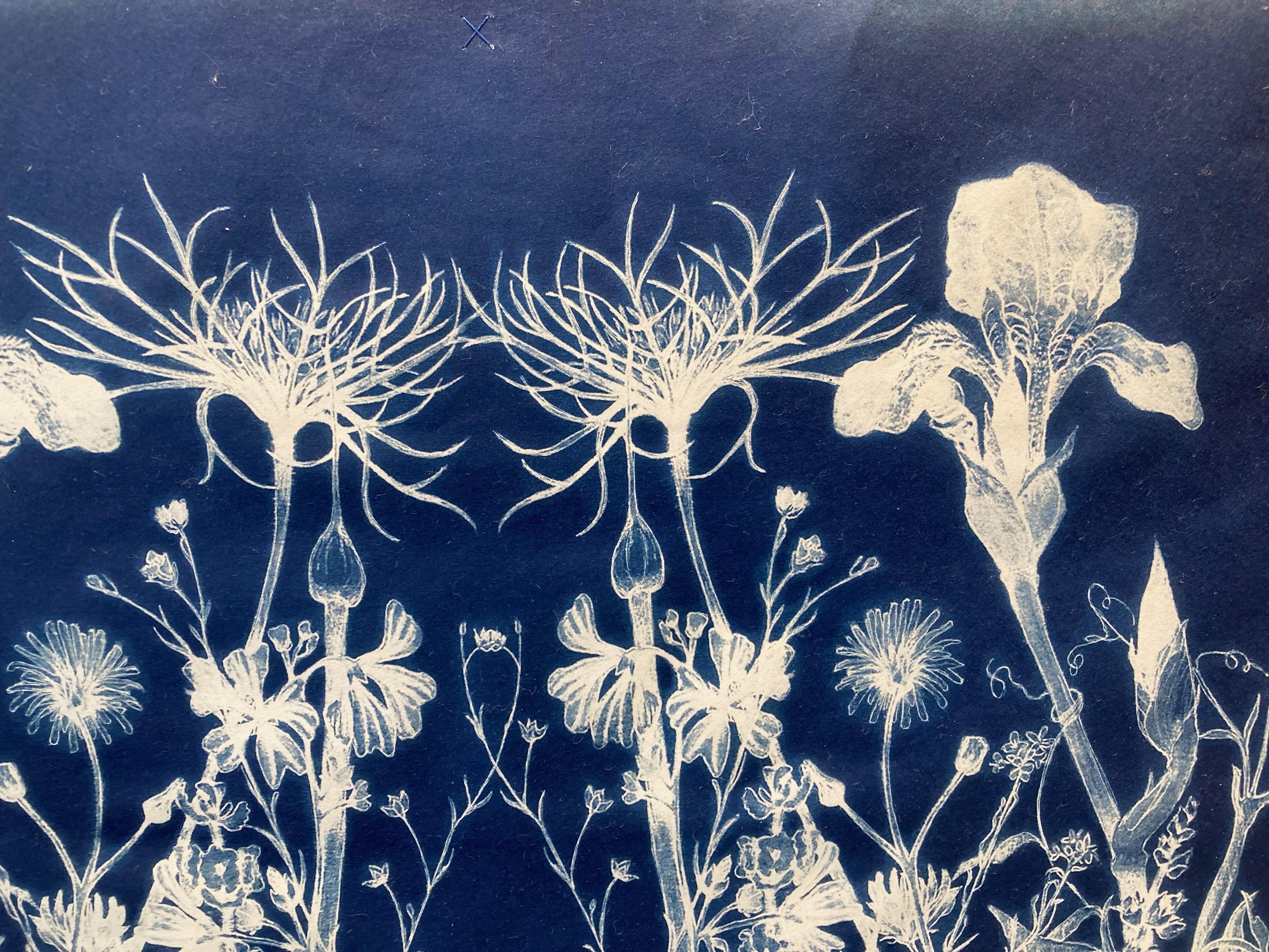 'Botanical Rhapsody'.   Photographie à motif floral réaliste/abstraite bleu/blanc   en vente 3