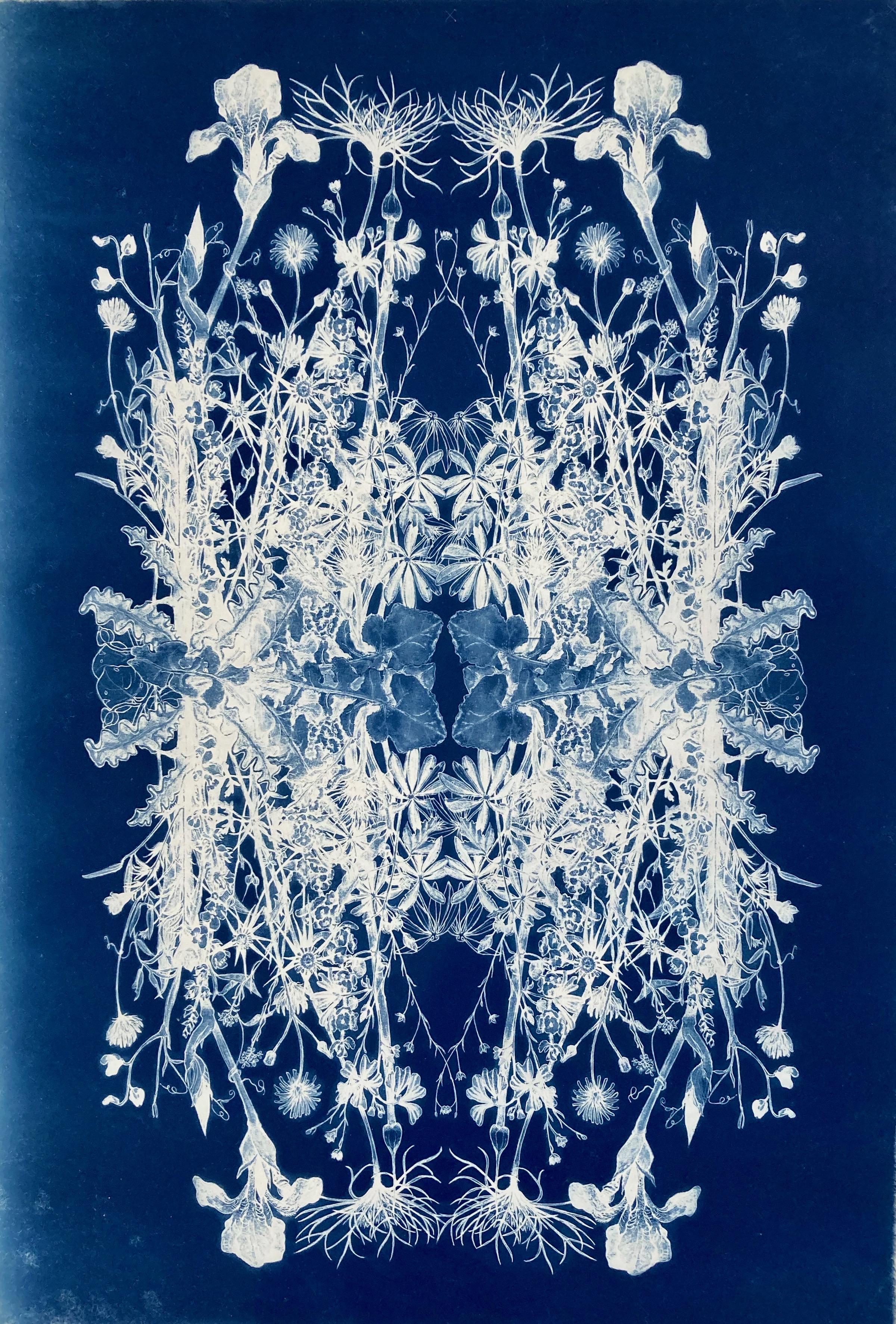 Judith Allen-Efstathiou Still-Life Photograph – Botanische Rhapsodie".   Realistisches/abstraktes Blumenmuster Fotografie Blau/Weiß  