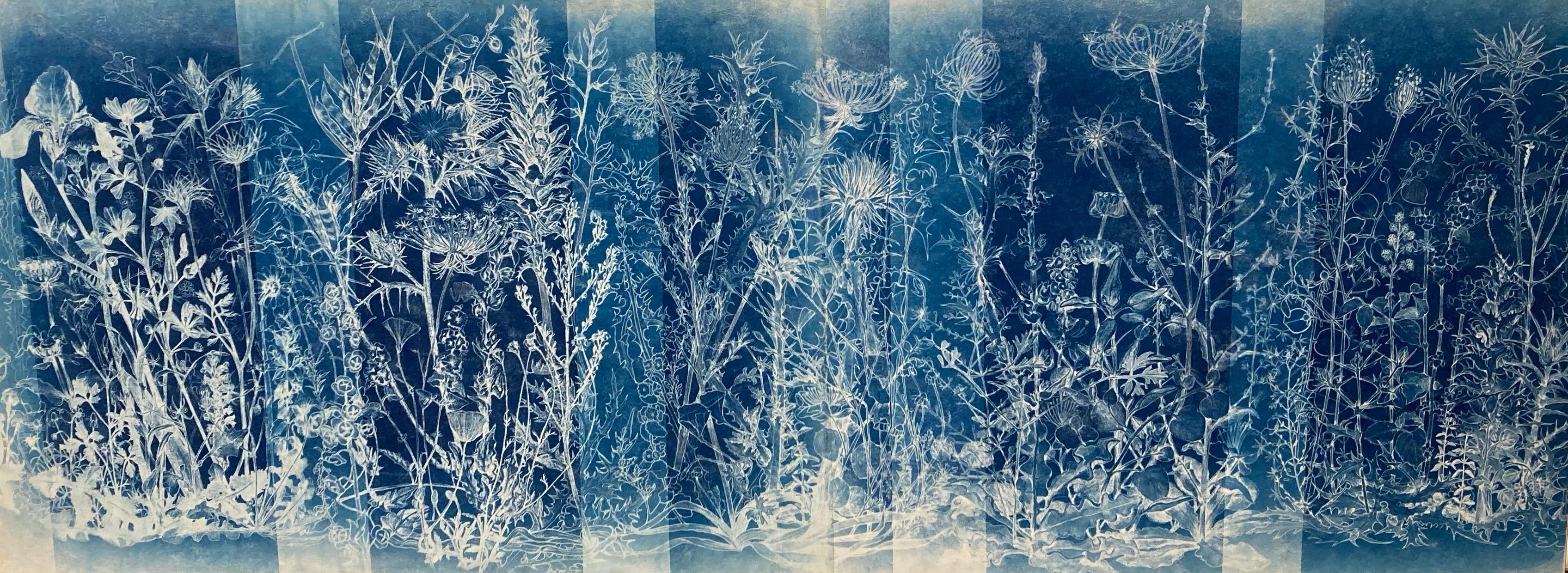 Judith Allen-Efstathiou Landscape Print – „Mapping the Walk – Mai bis August“  Blumenstudie in Blau und Weiß, Bildhauerei
