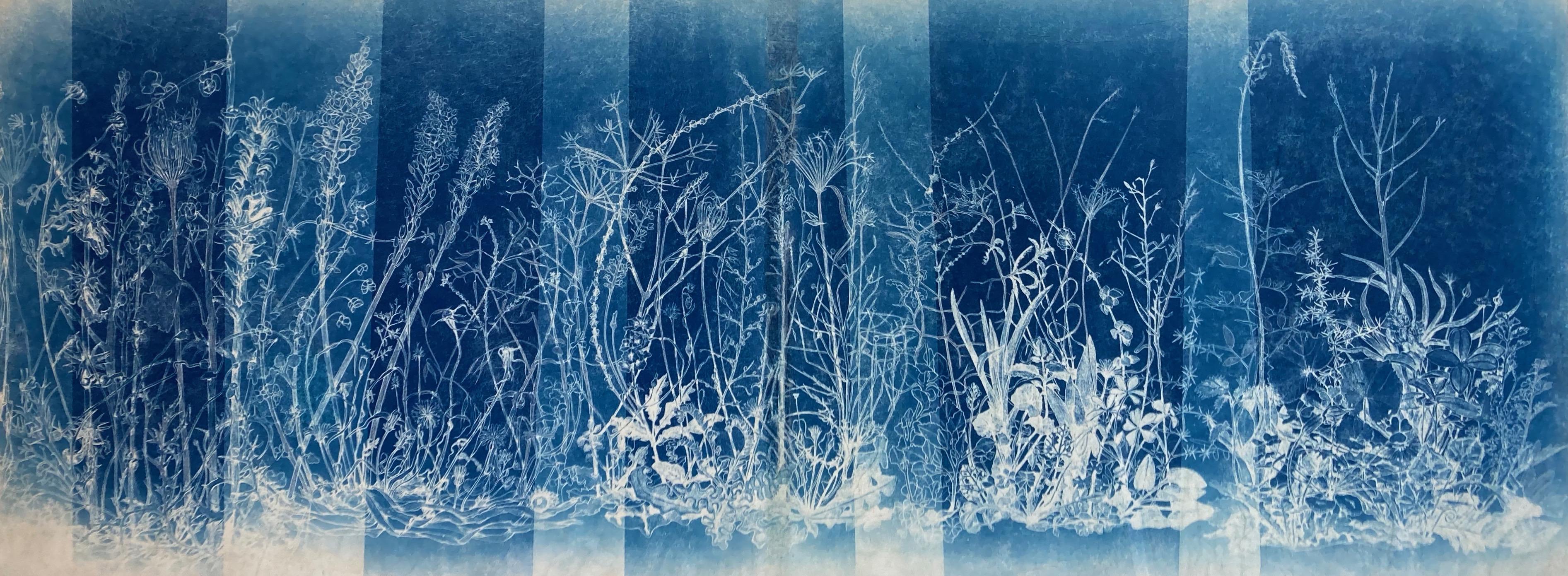 Landscape Photograph Judith Allen-Efstathiou - "Mapping the Walk" Étude photographique de fleurs réaliste/abstraite en bleu/blanc
