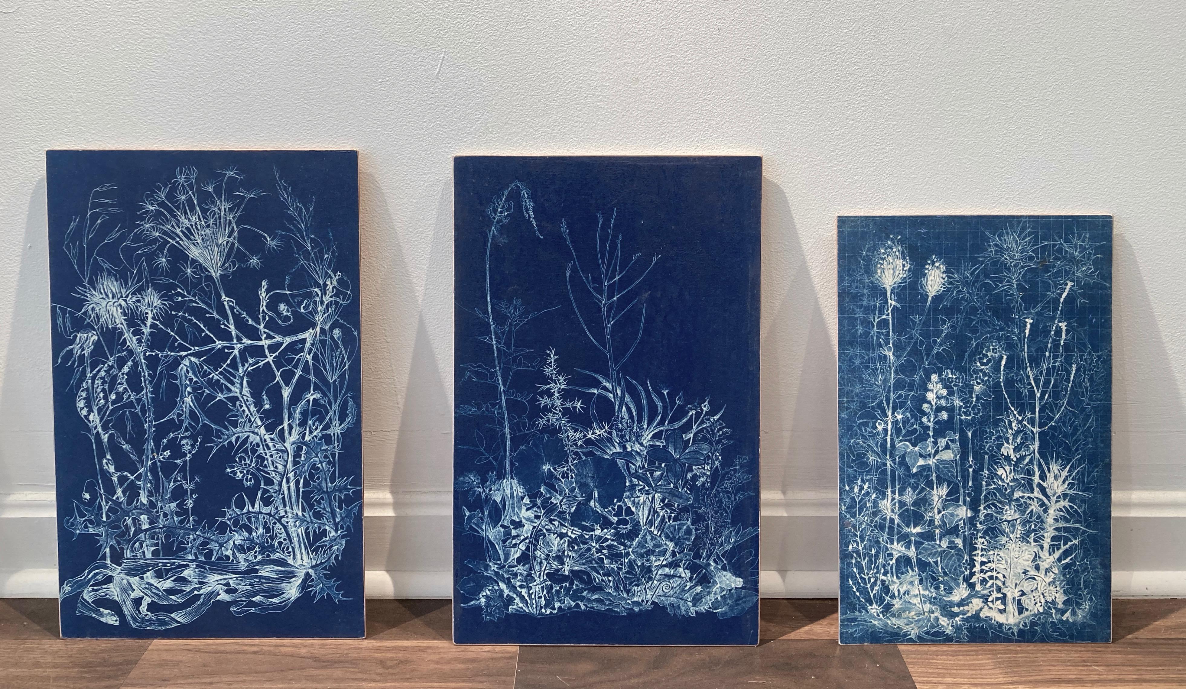 „Trace 5, Abschnitt 1“   Fotografische/abstrakte Fotografie-Blumenstudie in Blau / Weiß – Photograph von Judith Allen-Efstathiou
