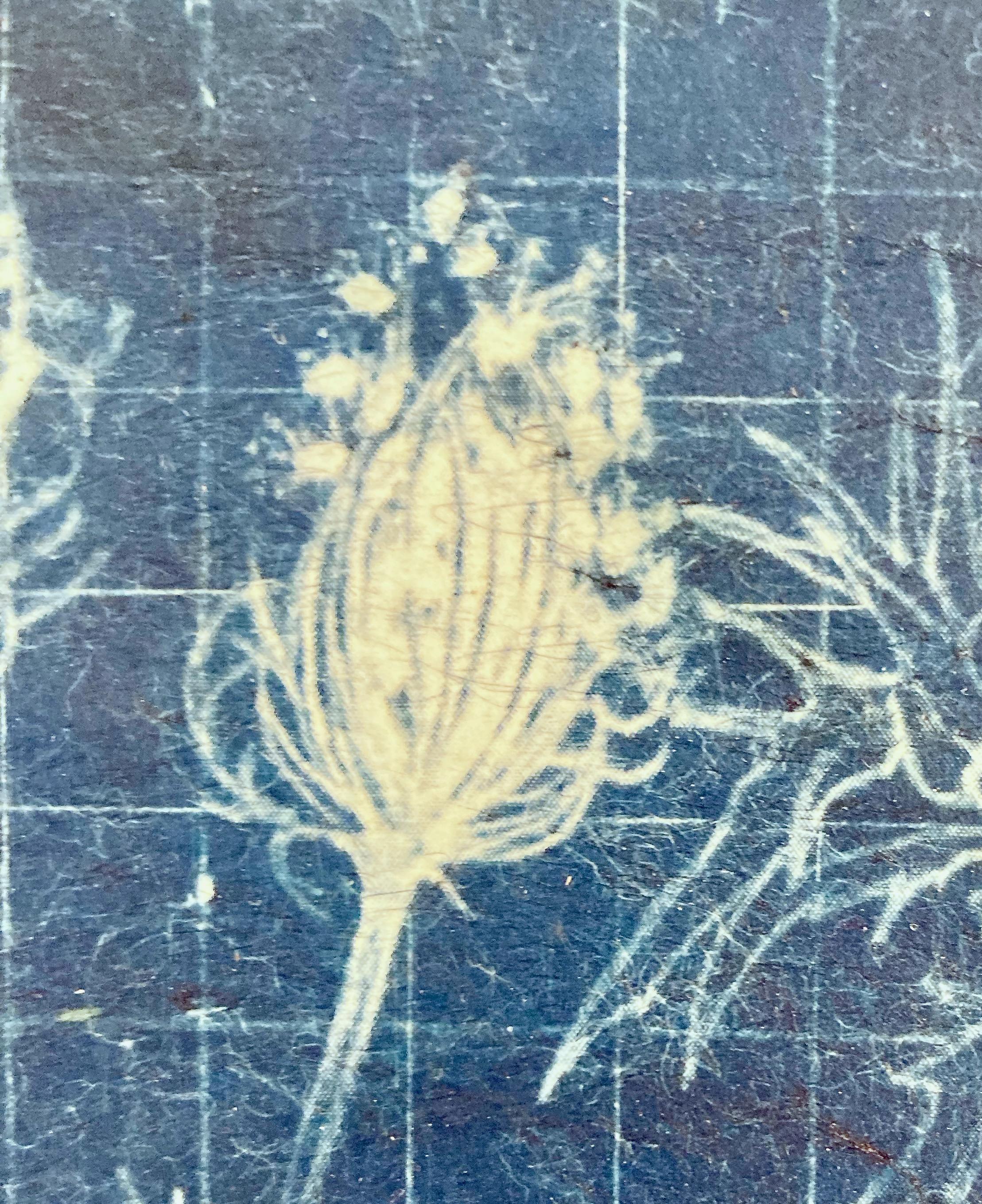 „Trace 5, Abschnitt 1“   Fotografische/abstrakte Fotografie-Blumenstudie in Blau / Weiß (Violett), Landscape Photograph, von Judith Allen-Efstathiou