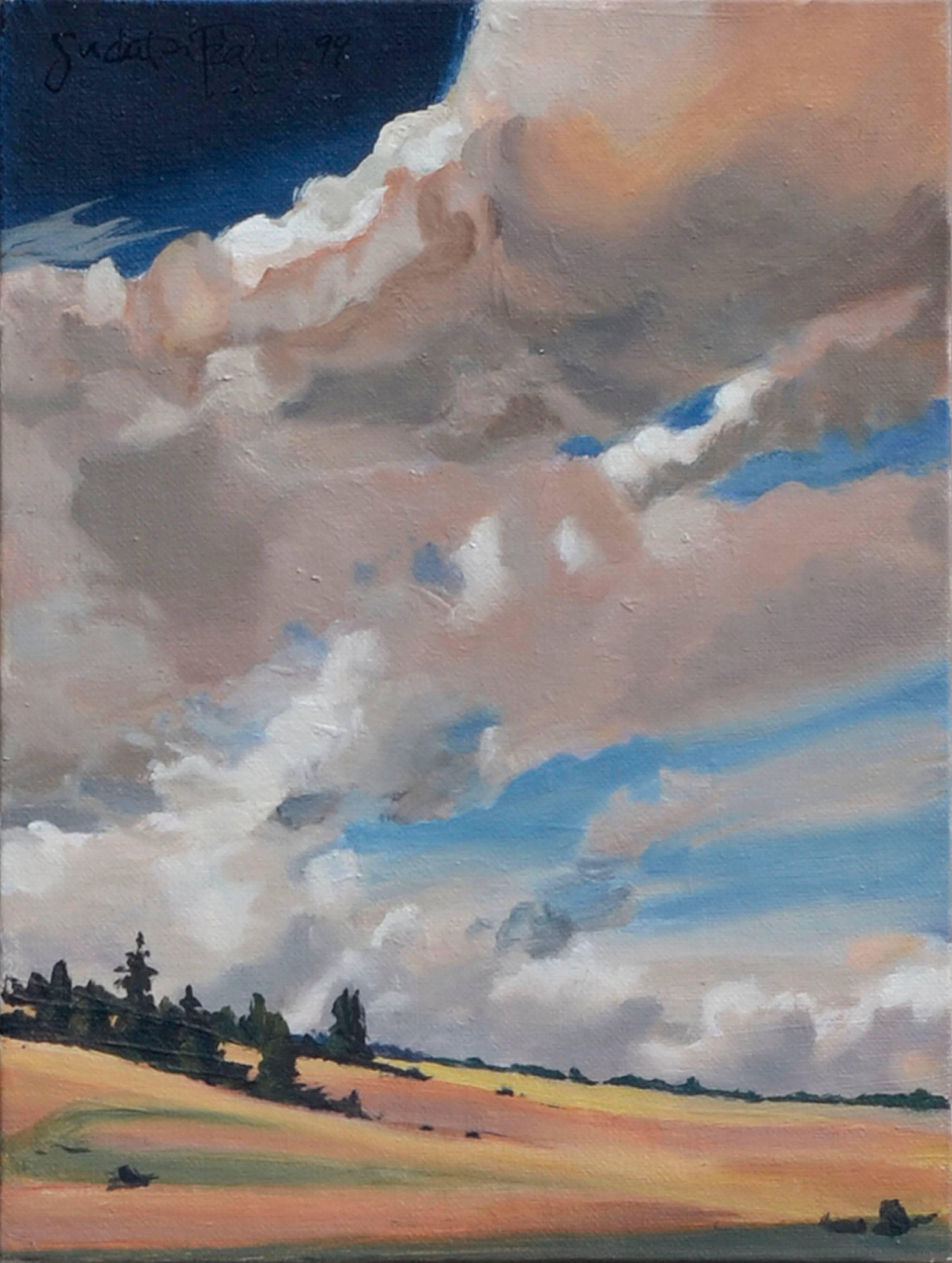 Dynamic Clouds and Fields - Alabama Landscape  - Painting by Judith Fields