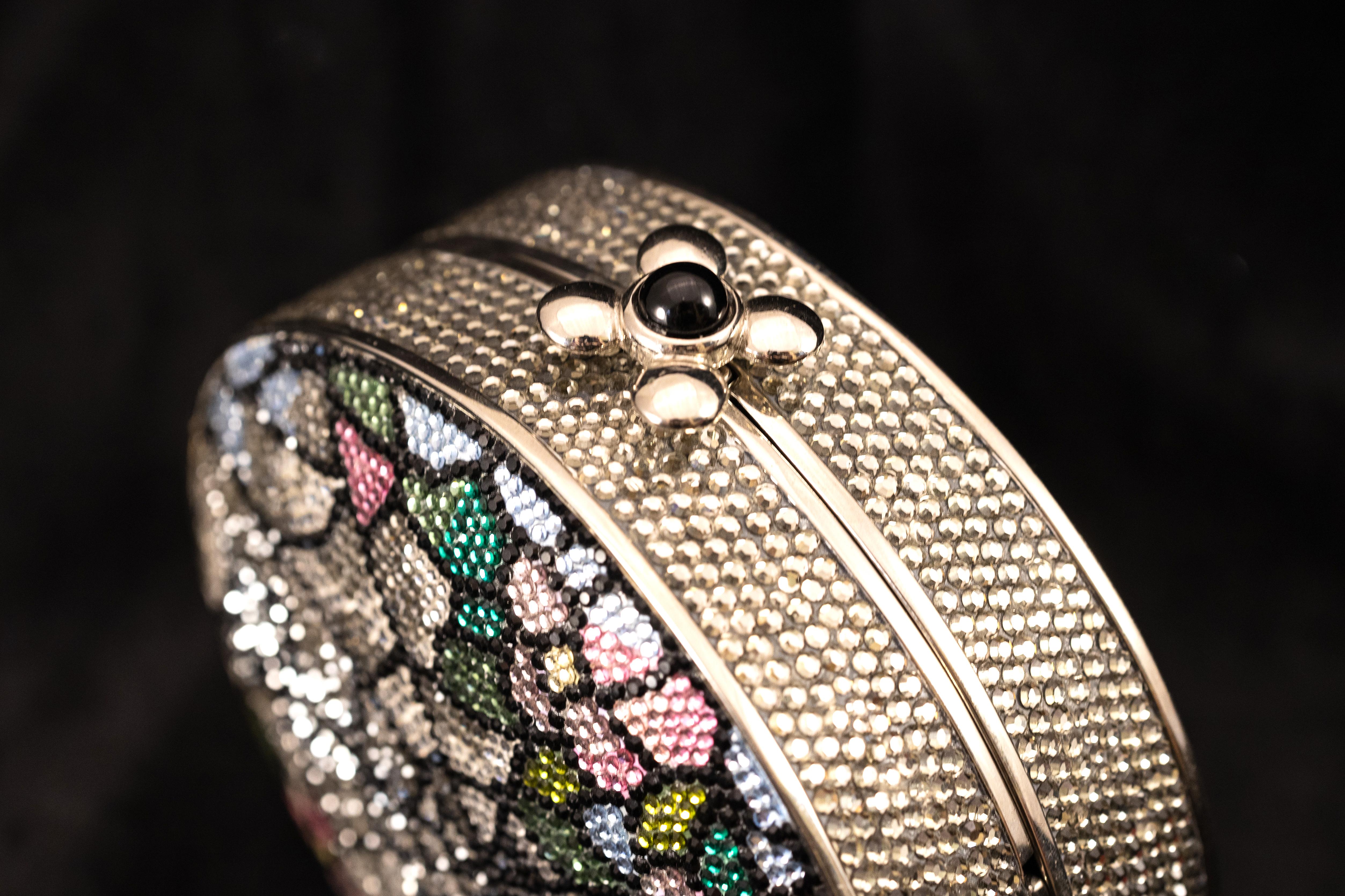 spider of the evening