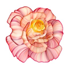 A ROSE IS A ROSE IS A ROSE IS A ROSE - Papierrote Wandskulptur