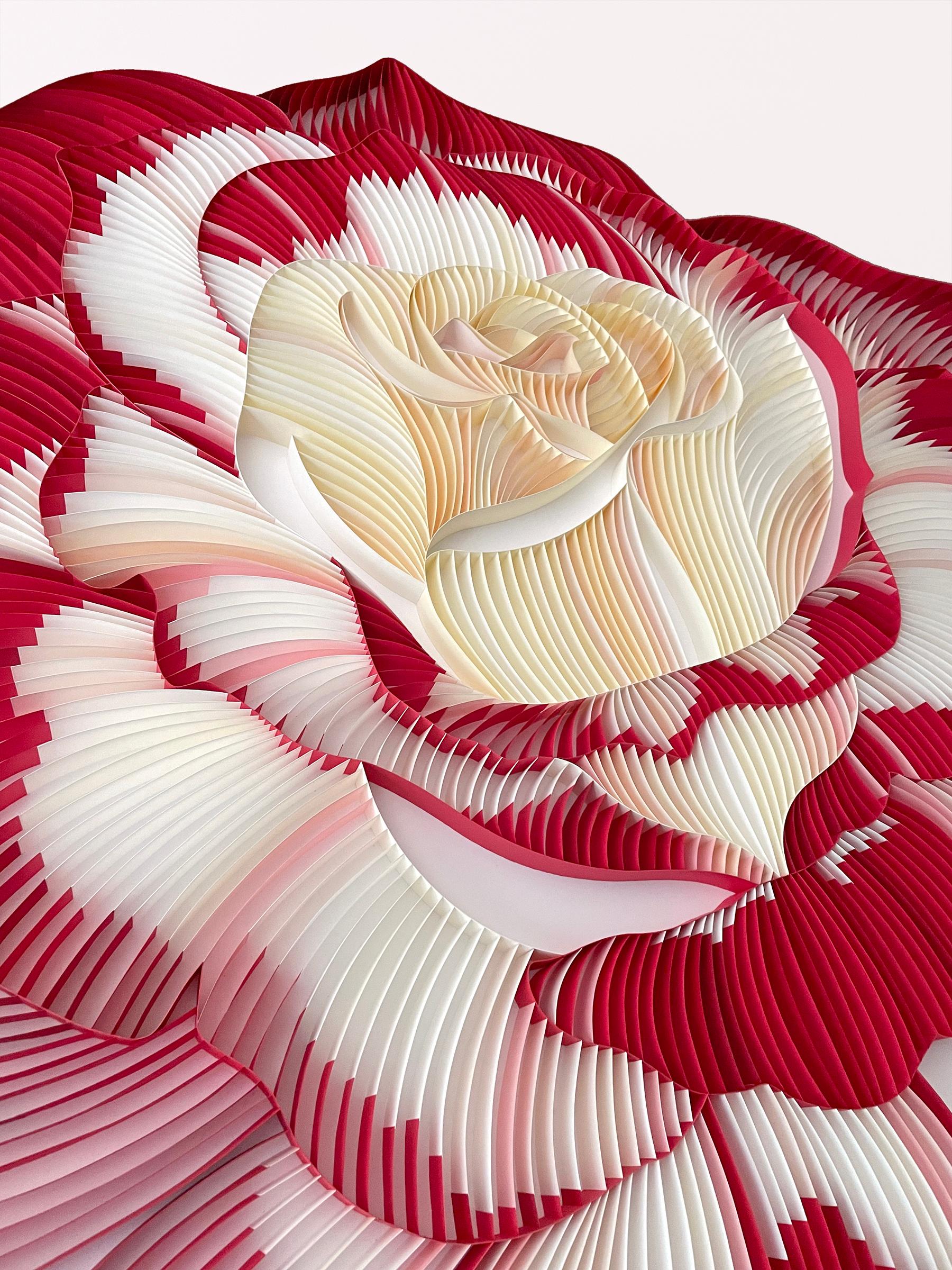 ENGLISH ROSE – Papier-Rosen-Wandskulptur – Sculpture von Judith + Rolfe