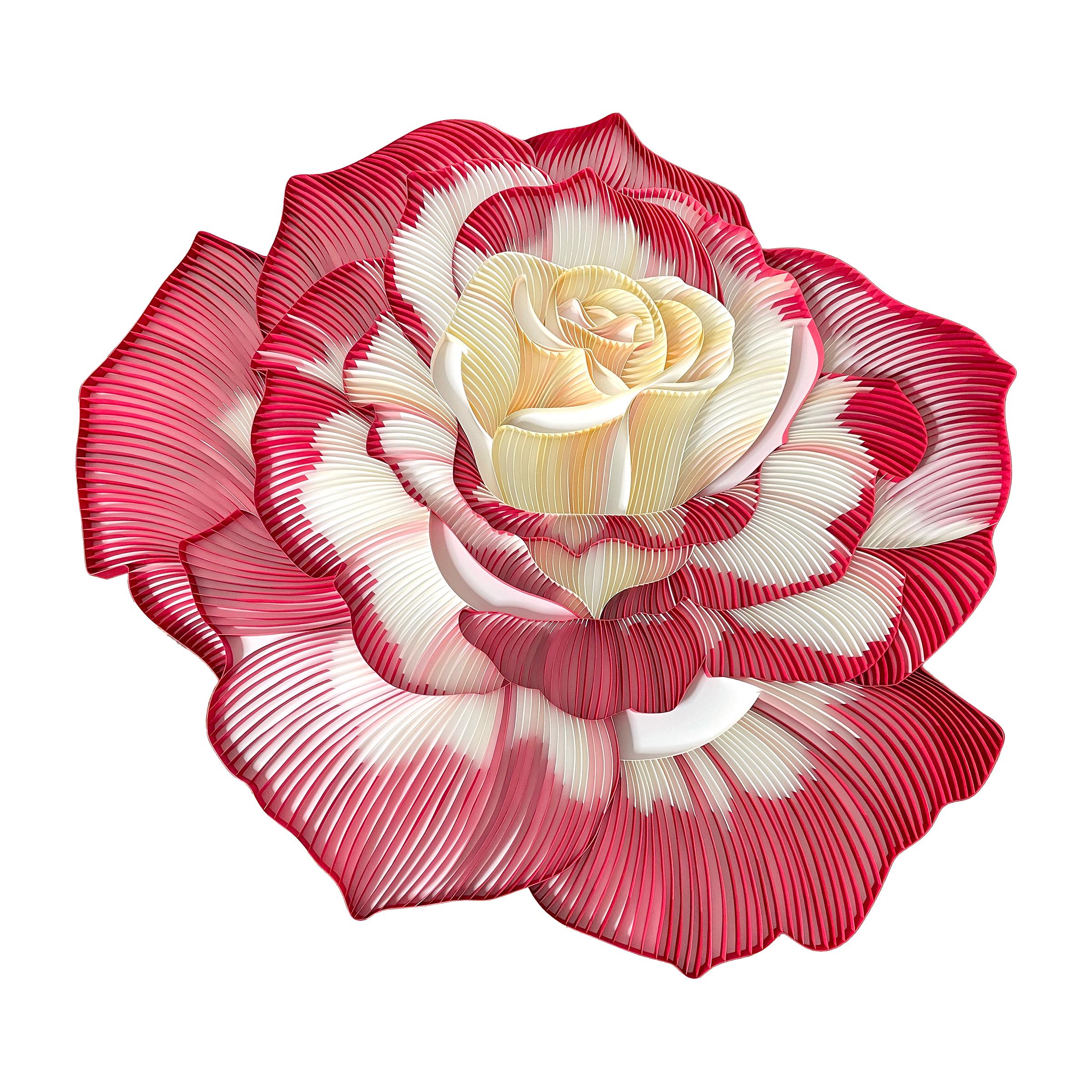 Judith + Rolfe Still-Life Sculpture – ENGLISH ROSE – Papier-Rosen-Wandskulptur