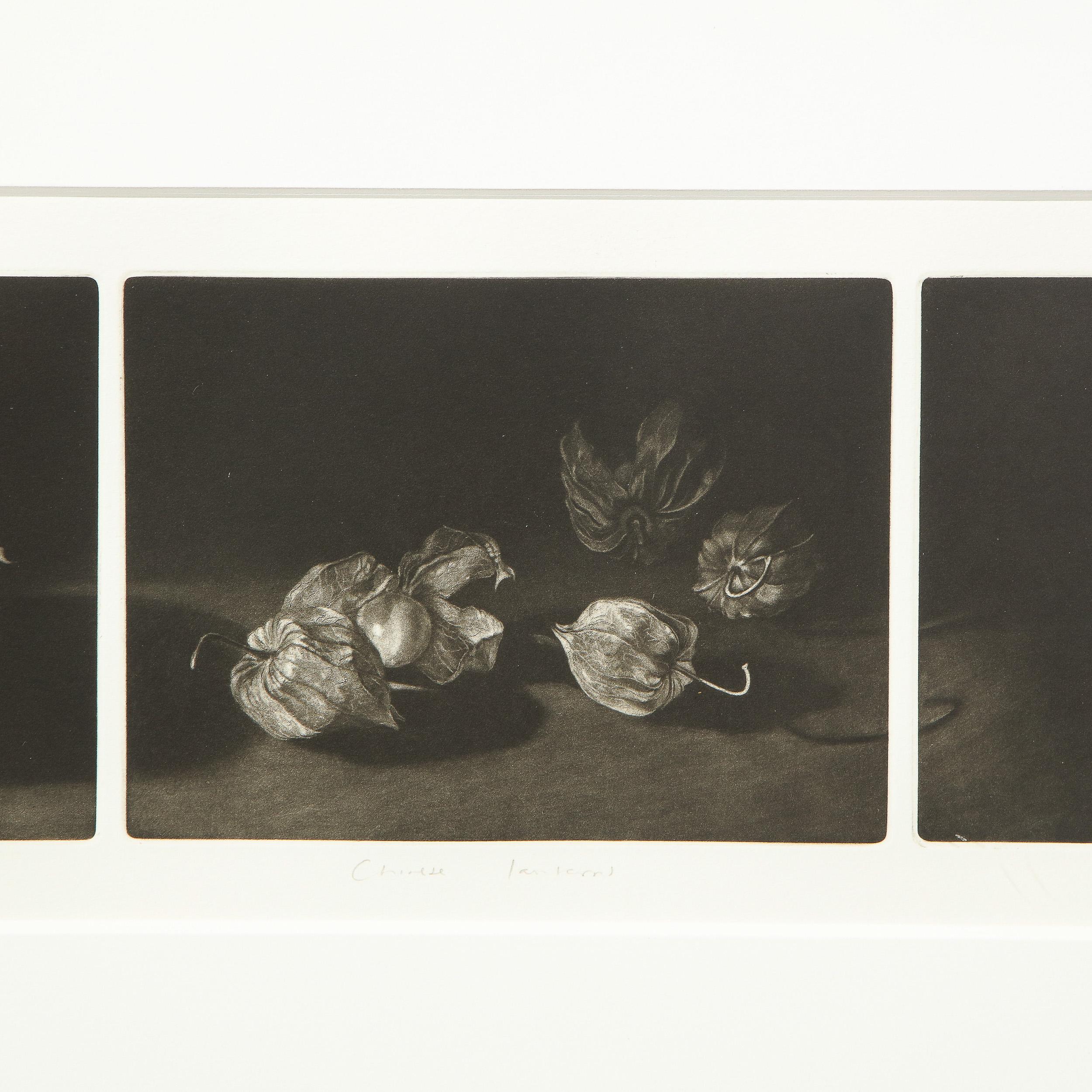Lanterne cinesi di Judith Rothchild in vendita 5