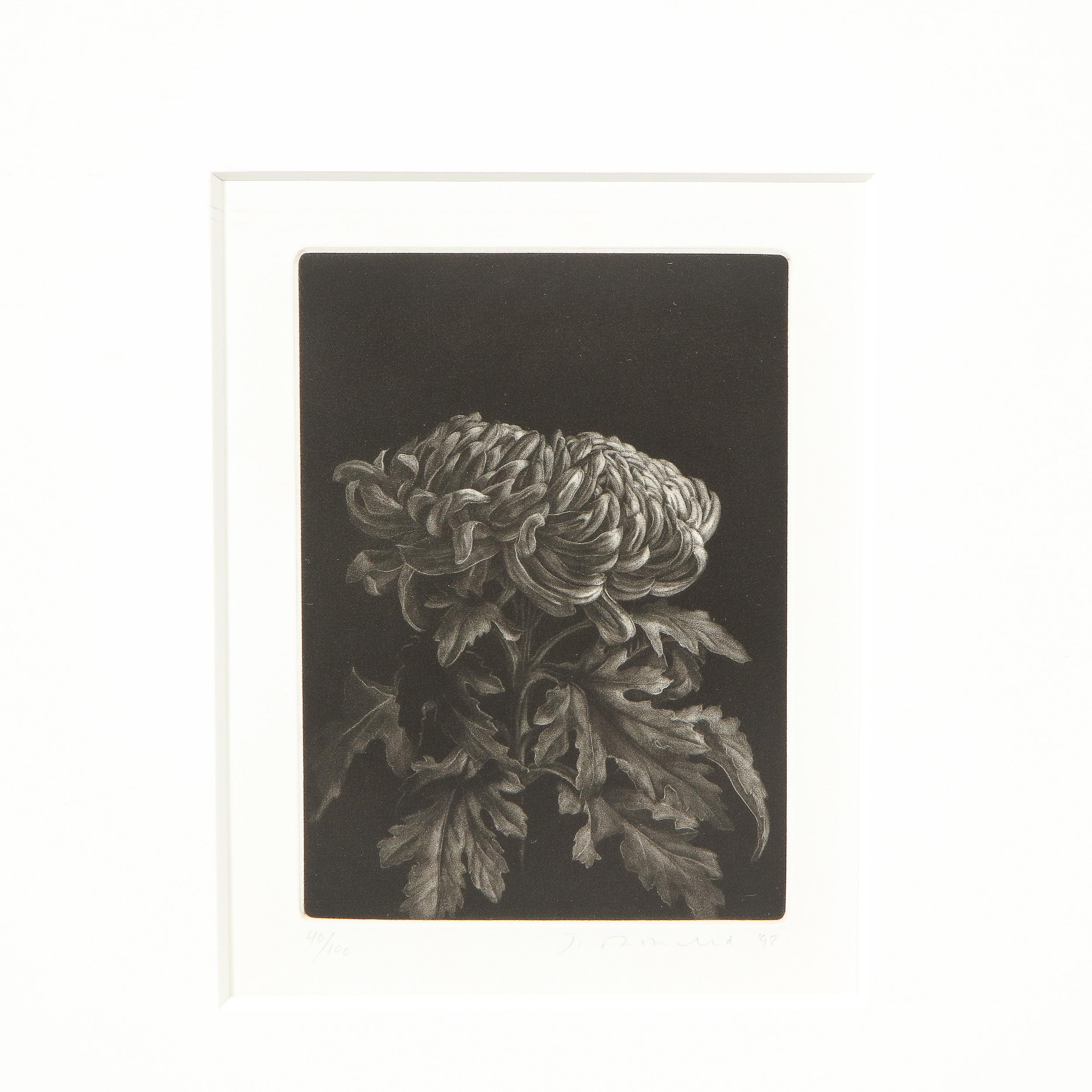 Chrysanthemen von Judith Rothchild im Angebot 2