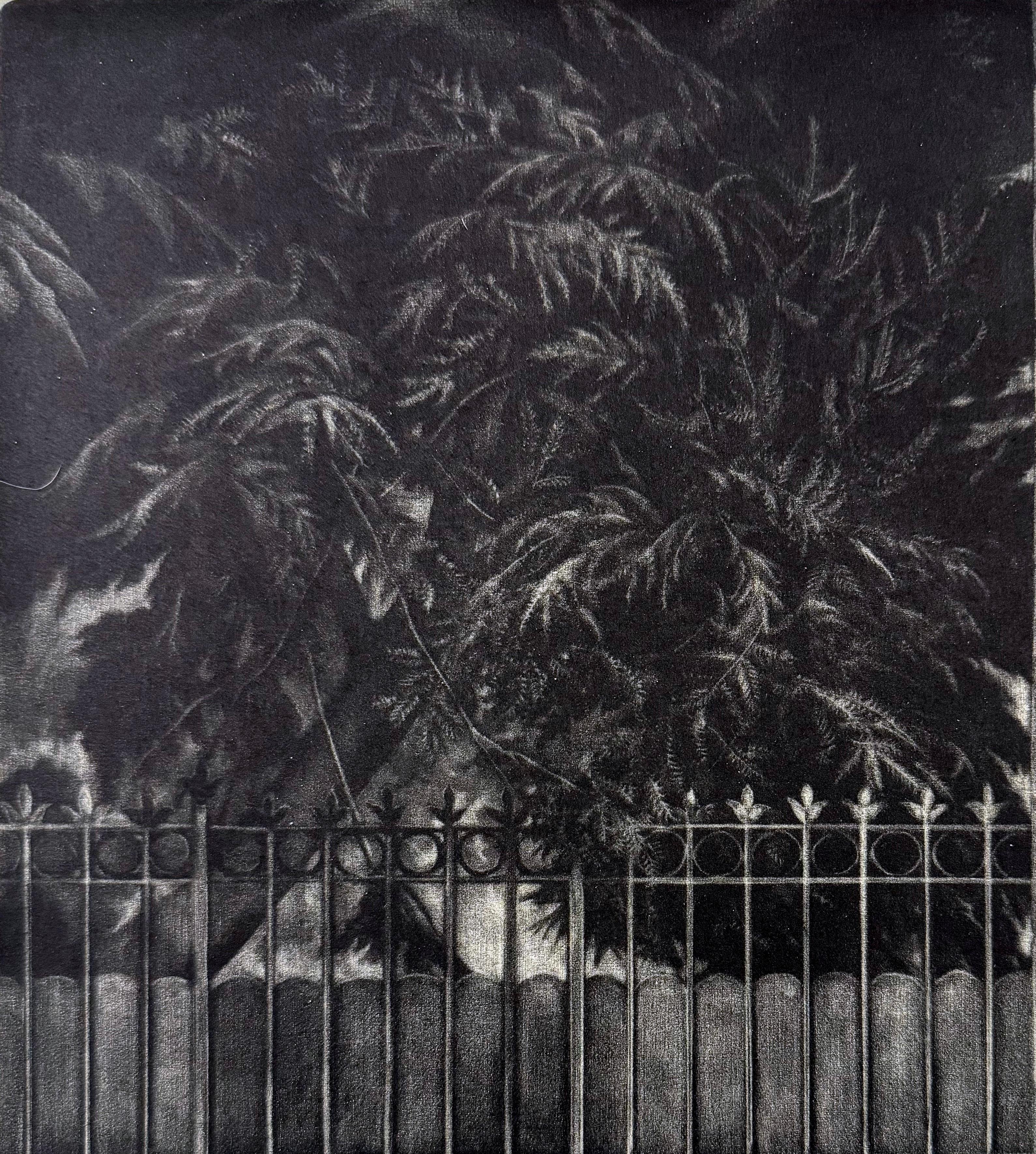 La Parc du Jardin, mezzotint by Judith Rothchild For Sale 2
