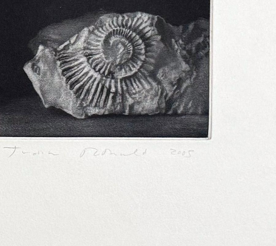 Incontri - Still-Life Print Nero di Judith Rothchild