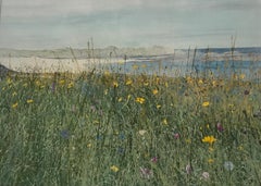Sea-meadow, Druck, Landschaft, Meadows, Meereslandschaft
