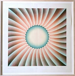 Judy Chicago, A través de la flor Icónica serigrafía firmada/n Arte feminista, Enmarcada