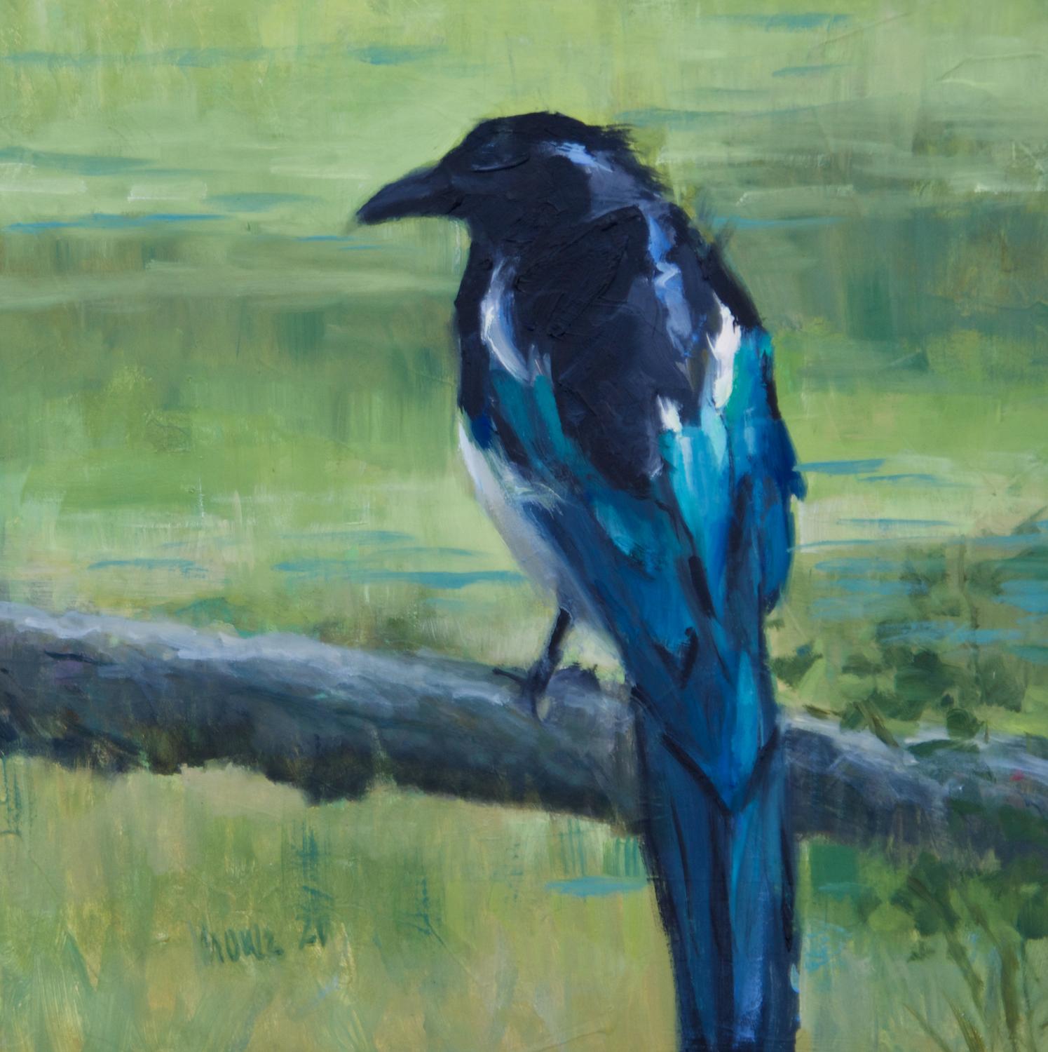 Dark Eyed Junco , oíl, Texas Bird Painting , Impressionism , SW Art, Texas Artist 2