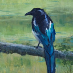 The Maggie, oil, Magpie Bird ,Impressionism ,SW Art, Texas Artist, Magpies