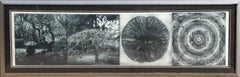 When the Moon is Full, Contemporary Etching by Judy Pfaff