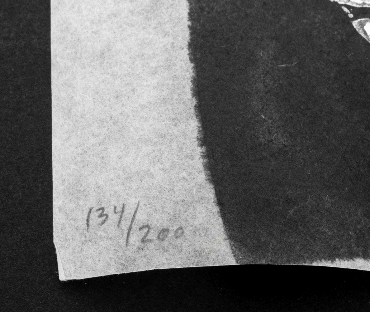 Judy Pfaff (English, b. 1946), 