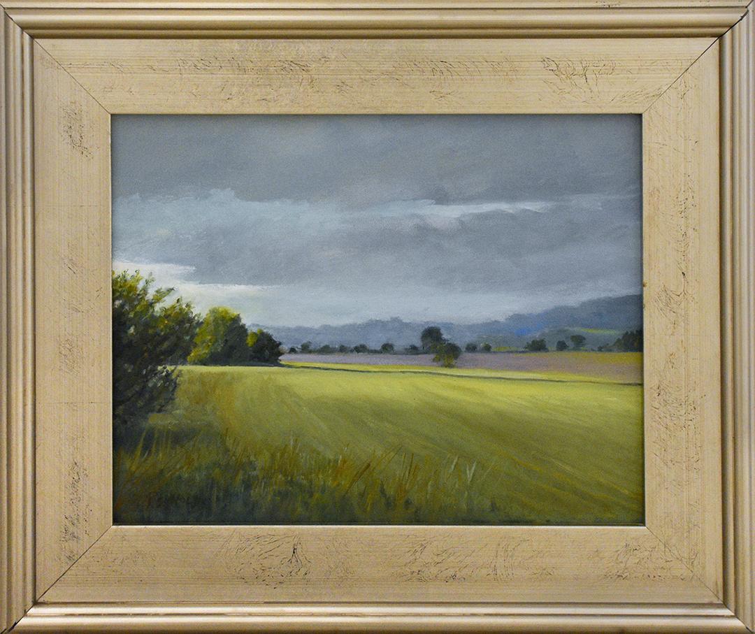 Judy Reynolds Figurative Painting - Farm Field, Spring (En Plein Air Oil Painting of a Sunlit Country Landscape)