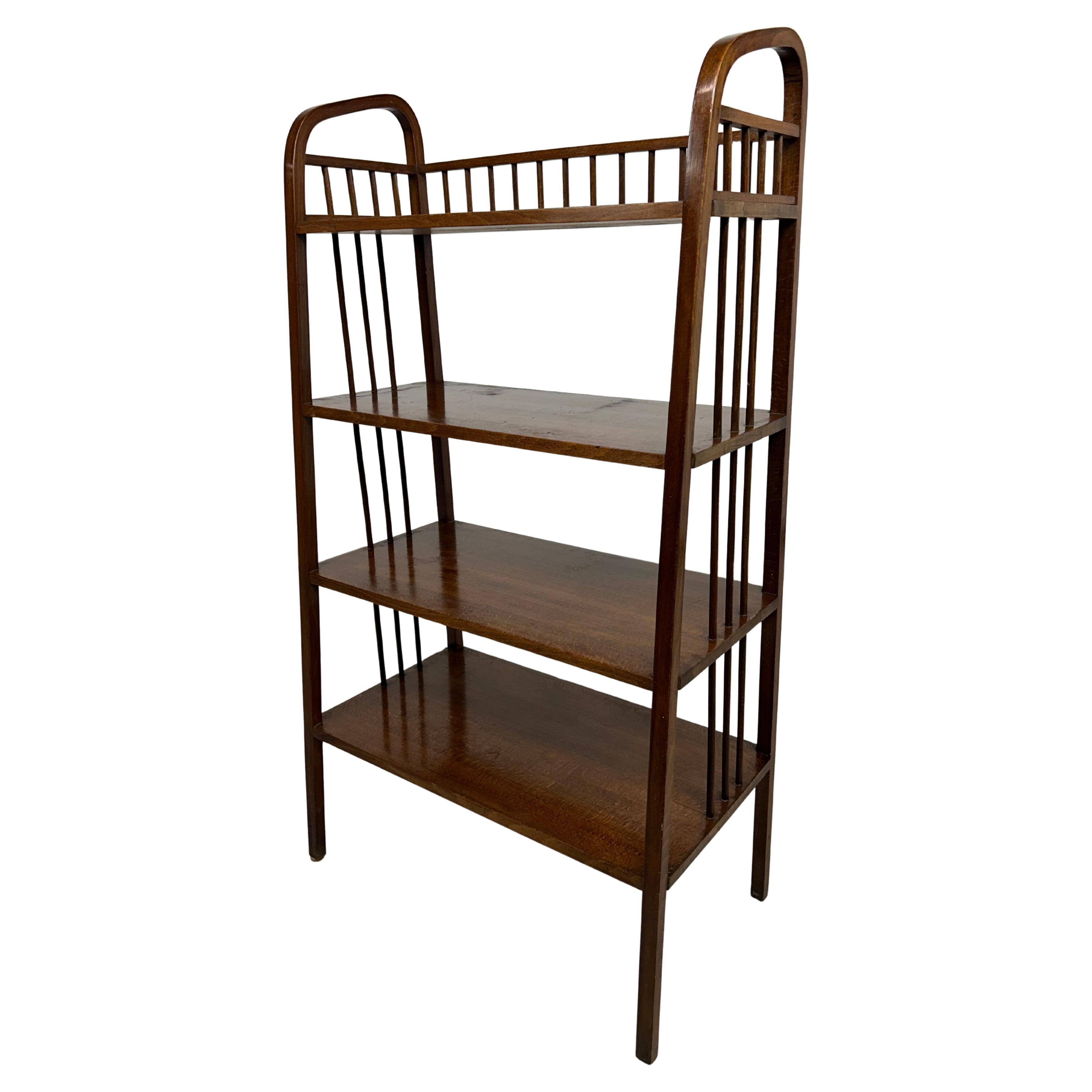 Expressionist Shelves