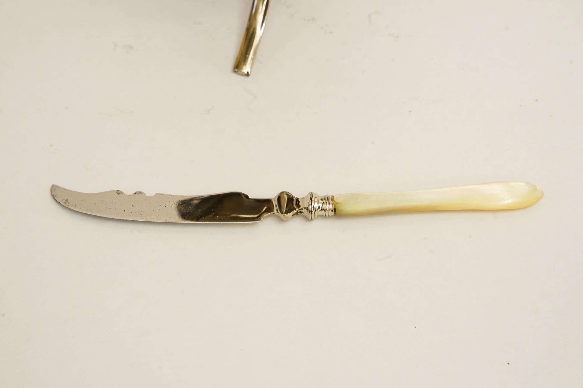 Jugendstil fruit knives with holder vienna around 1908 For Sale 2