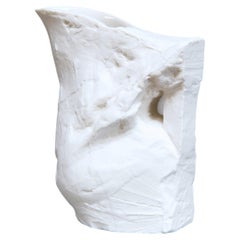 JUGS II - Porcelain Pitcher by White Dirt