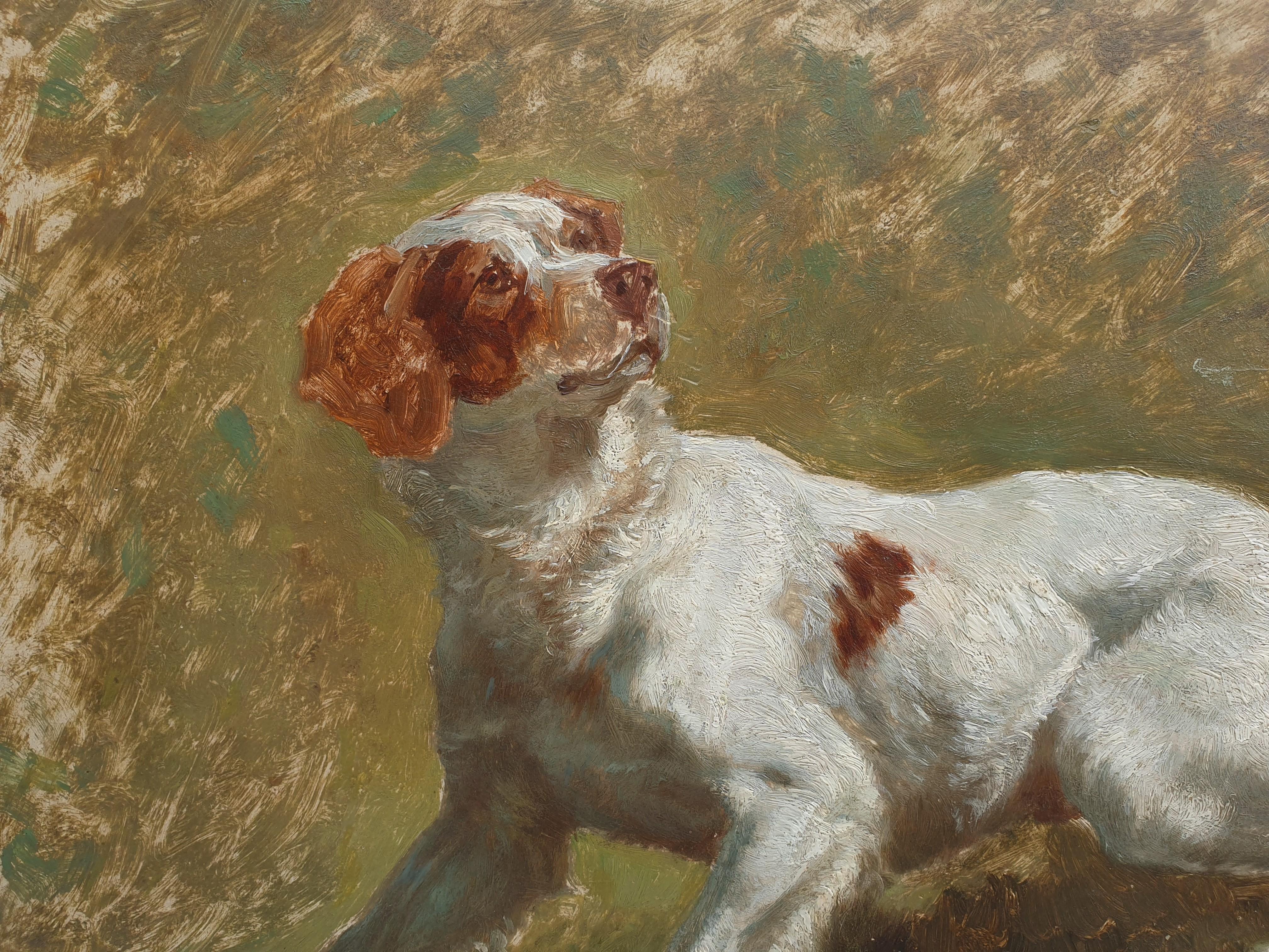GELIBERT French animal painting Dog Portrait Brittany hunting 19th Oil on panel  - Painting by Jules-Bertrand GELIBERT