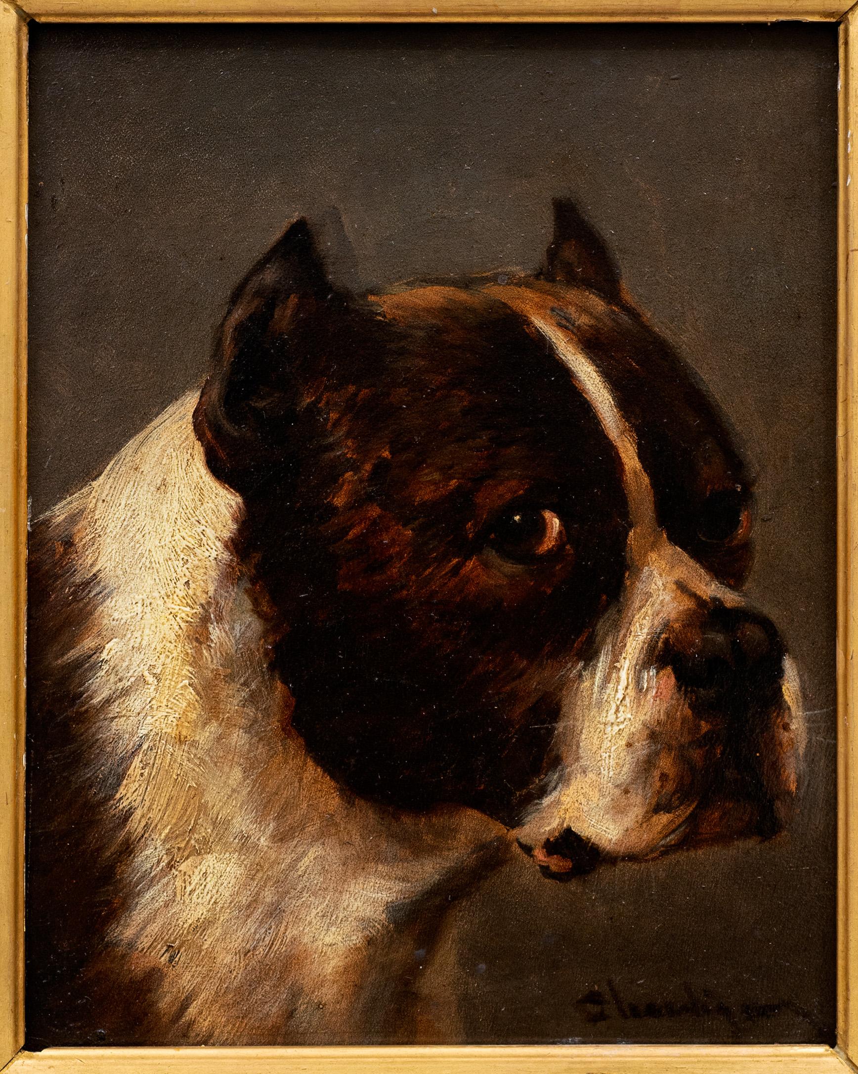 Antique Painting of a Hunting Dog
Jules Chardigny (1849-1892)
Circa 1870
Oil on wood panel 
Housed within its beautiful and original ornate original gilt frame.
9 x 7 1/4 (15 1/4 x 13 3/4 frame) inches

About the Cane Corso breed: 
