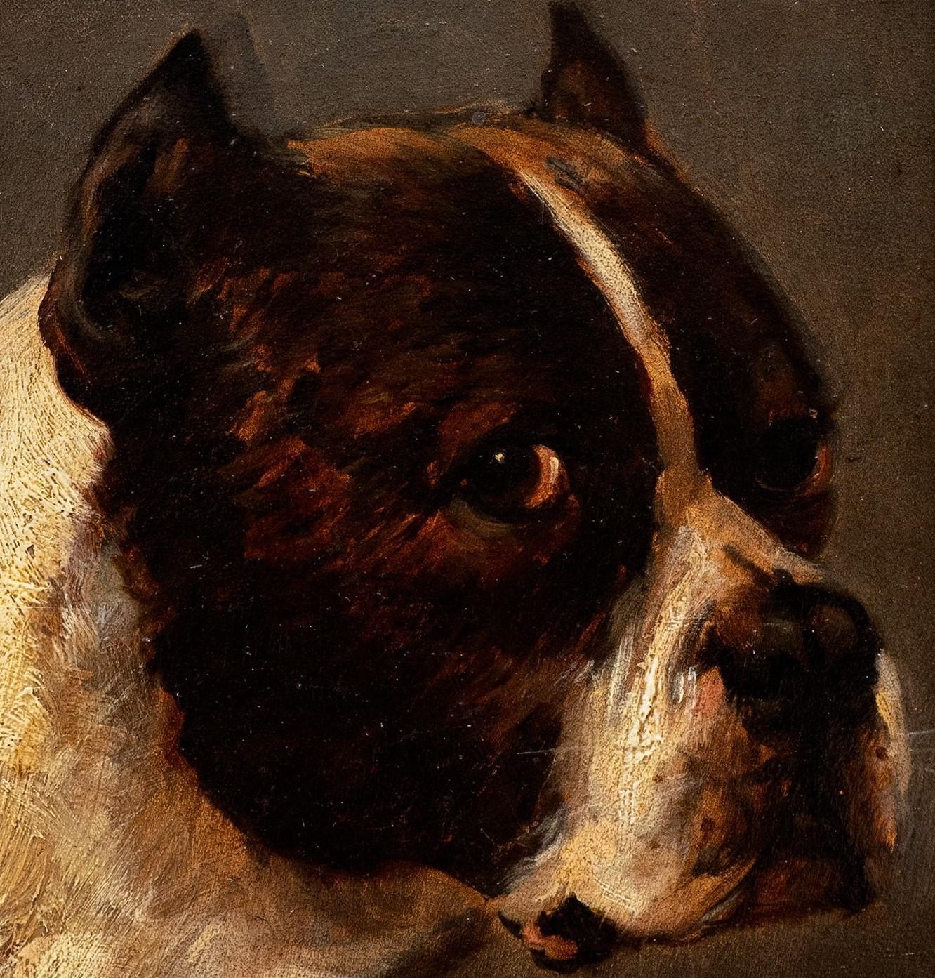 Pittura di cani: Cane da toro; (Poppa. Théodore Géricault) di Jules Chardigny, 1870 ca. - Painting Realismo di Jules Chardigny 