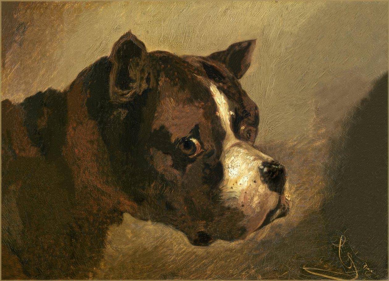 Dipinto antico di un cane da caccia
Jules Chardigny (1849-1892)
Circa 1870
Olio su pannello di legno 
Custodito nella sua bella e originale cornice dorata.
9 x 7 1/4 (15 1/4 x 13 3/4 di cornice) pollici

Questo dipinto si basa sul modello di un