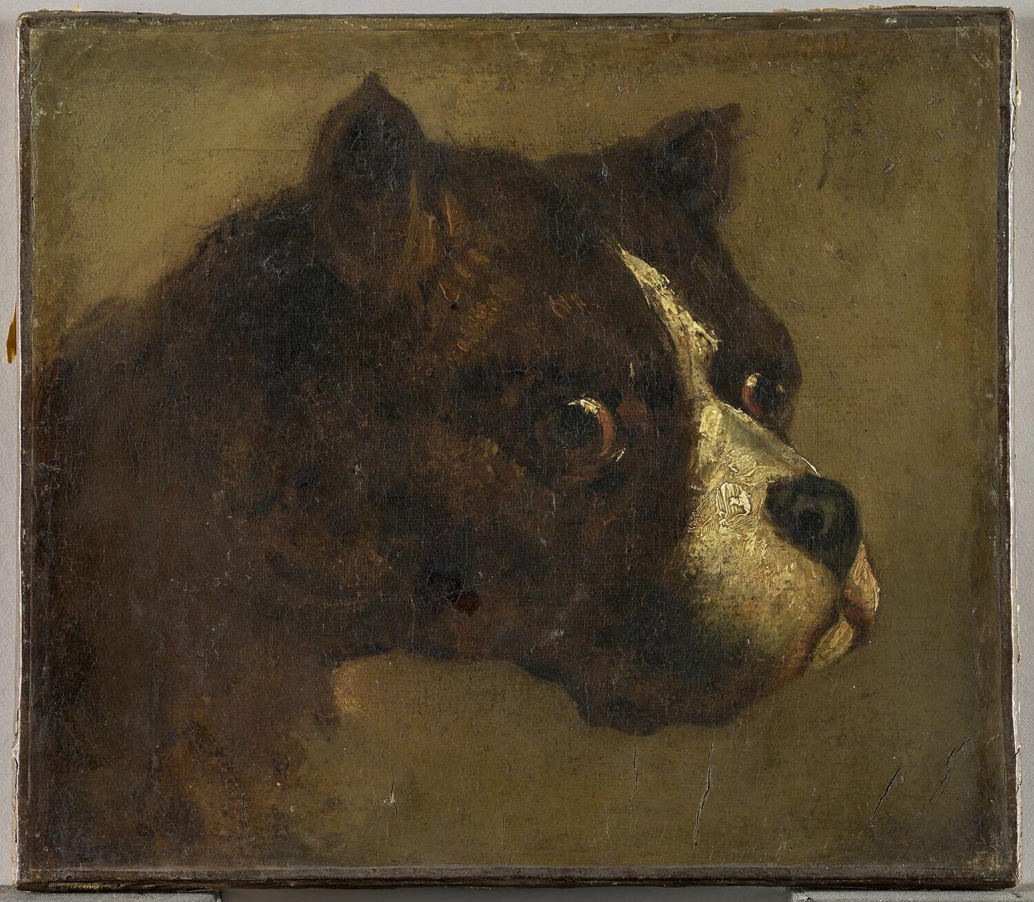 Pittura di cani: Cane da toro; (Poppa. Théodore Géricault) di Jules Chardigny, 1870 ca. 2
