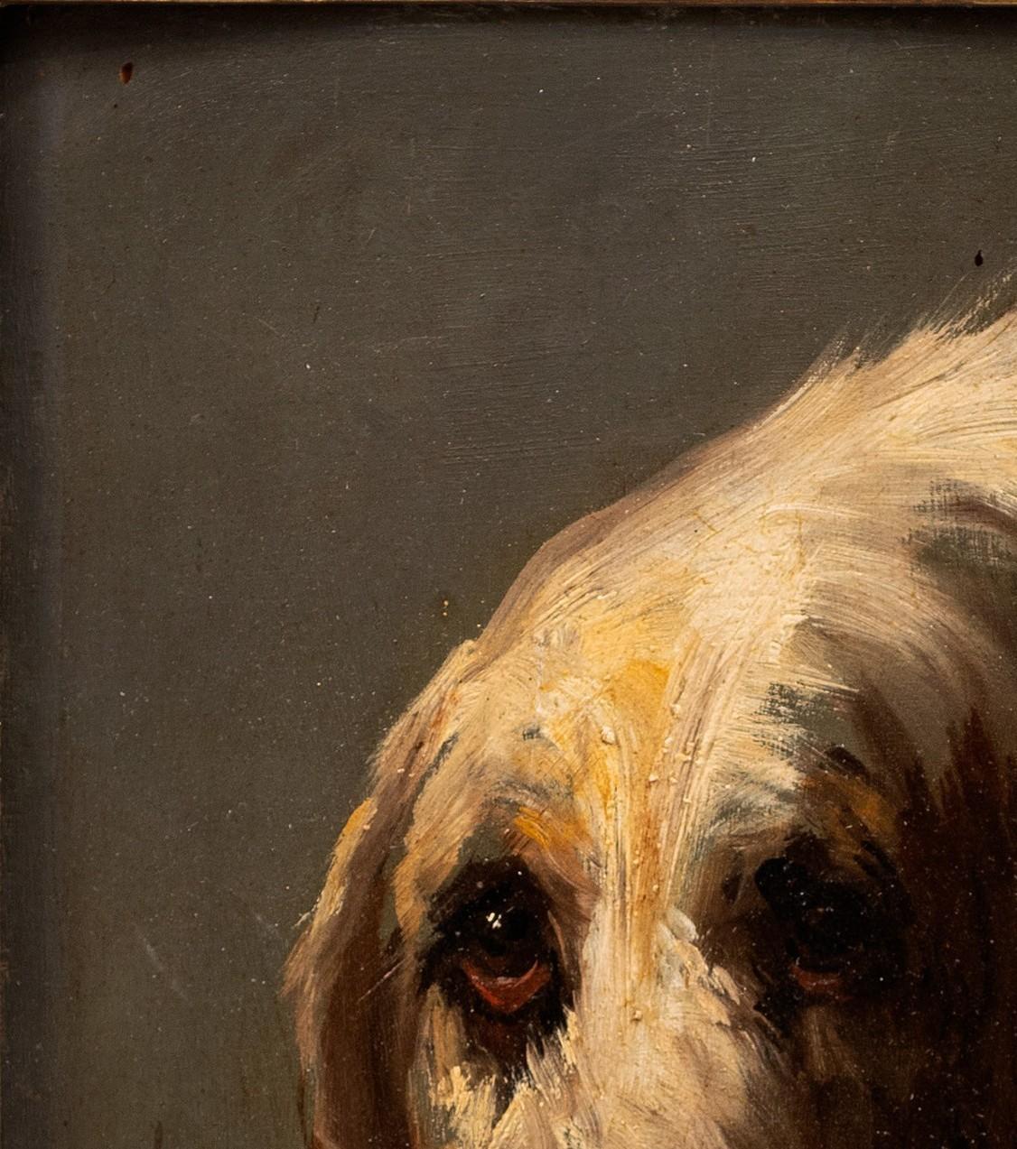 Hundeporträt eines Grand Vendéen Jagdhundes Jules Chardigny (1849-1892) um 1870 im Angebot 3