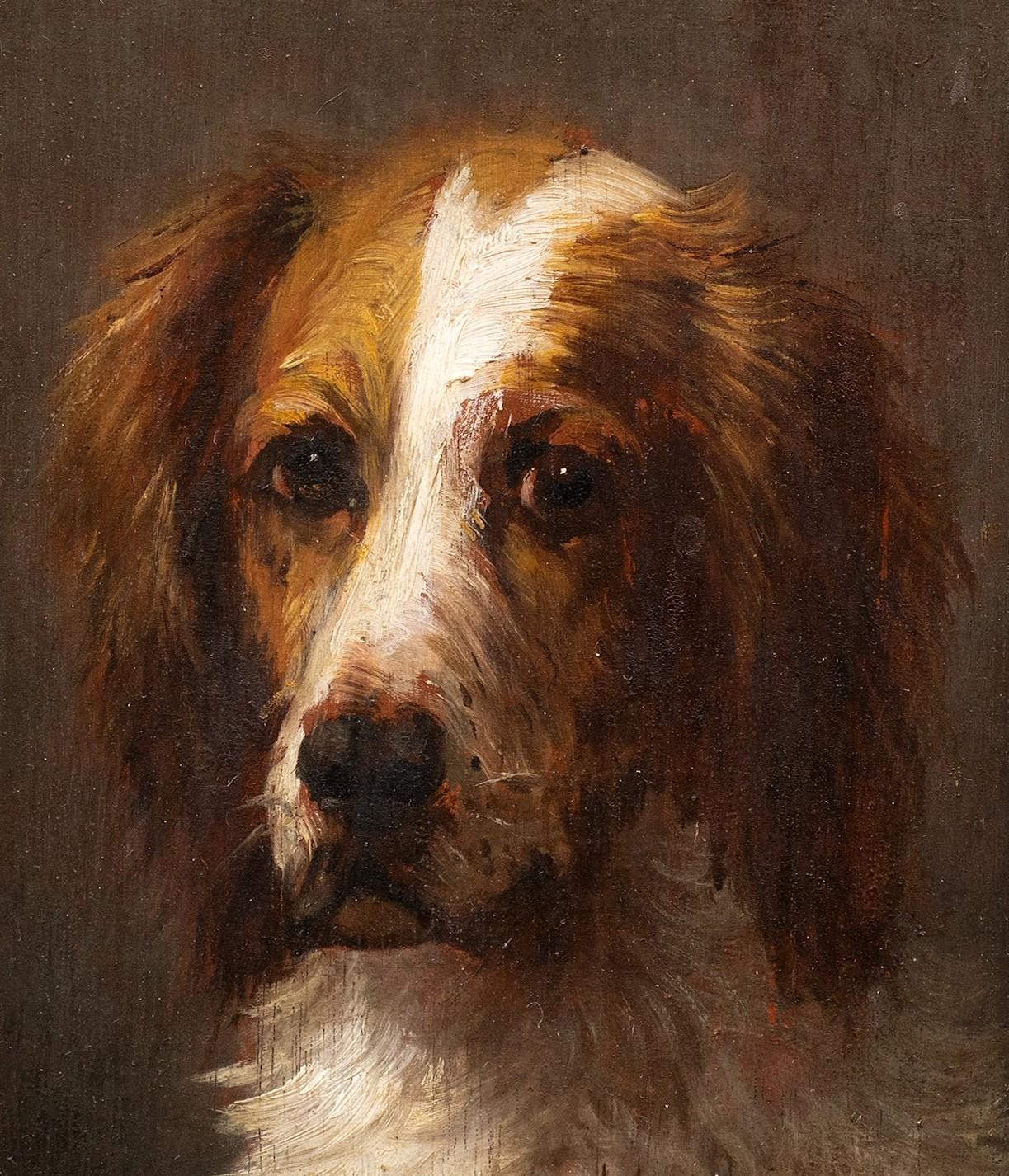 Dog Portrait of a Hunting Dog by Jules Chardigny (1849-1892) circa 1870s 2