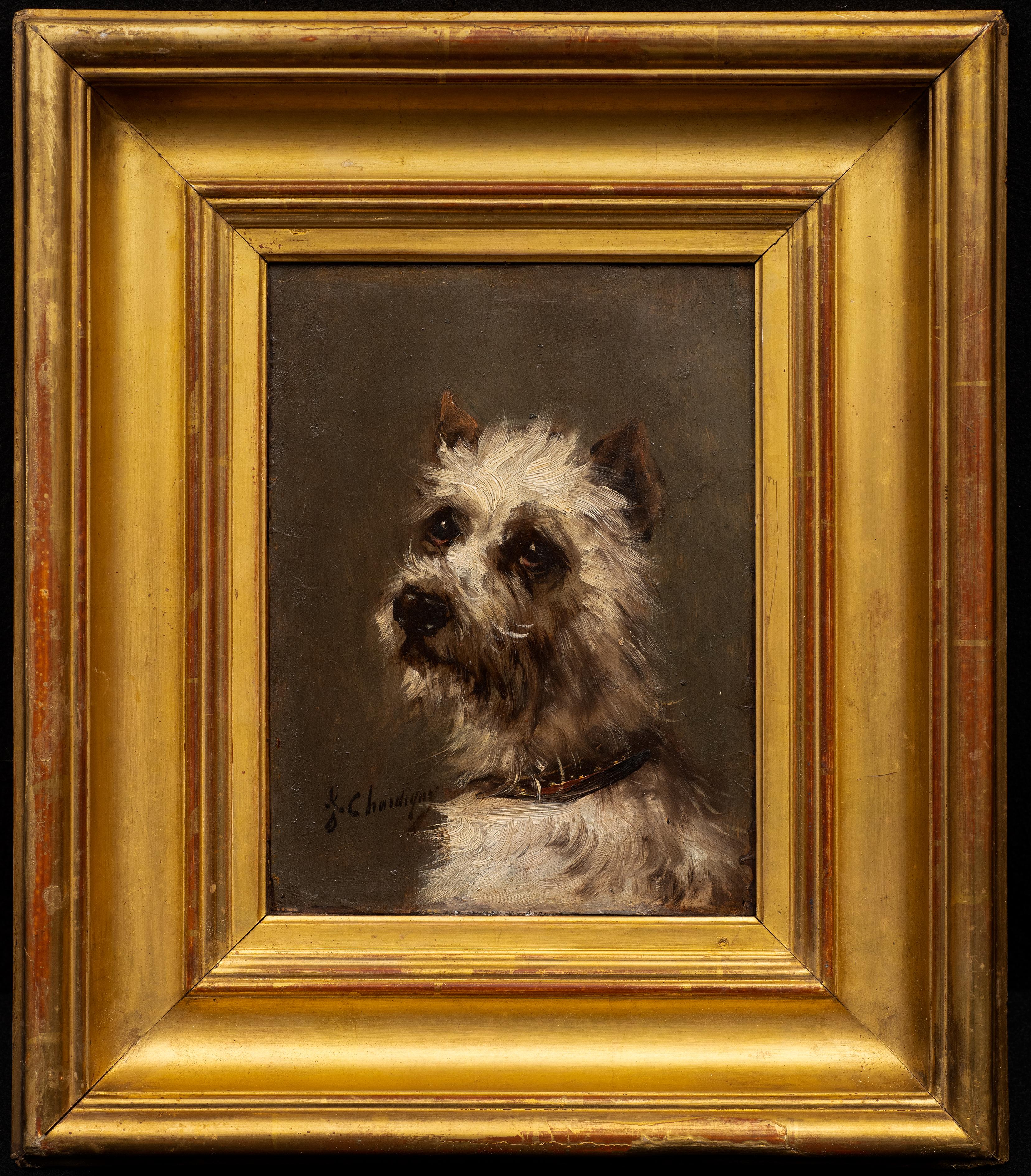 Dog Portrait of a Terrier 3/4 View by Jules Chardigny (1849-1892) circa 1870s