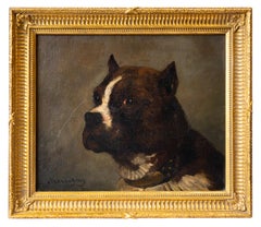 Animal Paintings