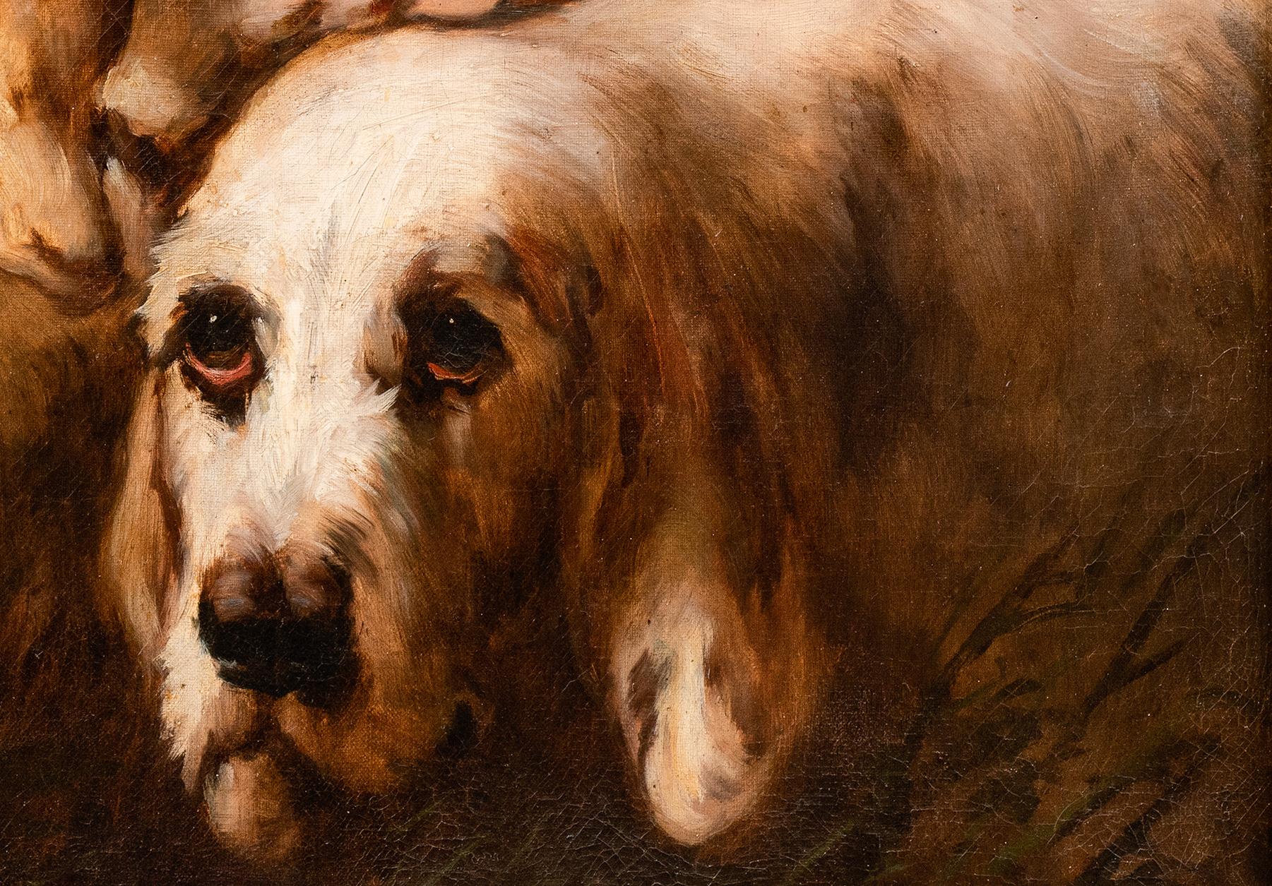 Retrato de Perro Grande: Gran Grifón Vandeano Perros de Caza Jules Chardigny en venta 4