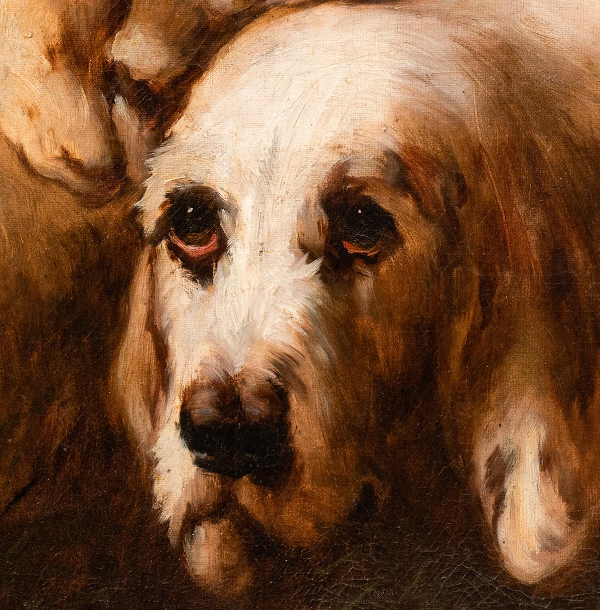 Retrato de Perro Grande: Gran Grifón Vandeano Perros de Caza Jules Chardigny en venta 6