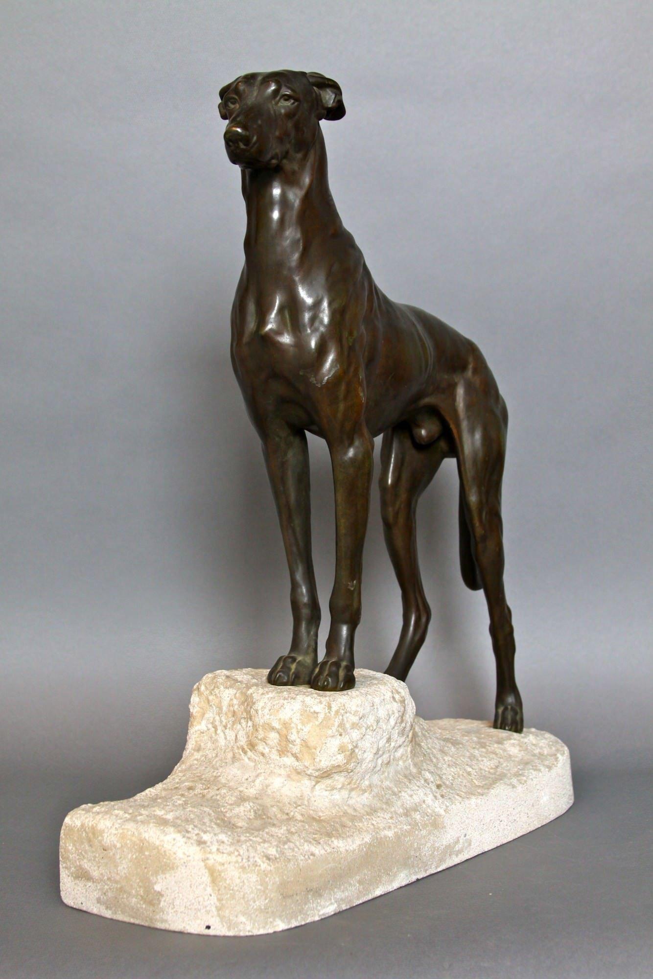 Jules Edmond Masson (Franzose, 1871-1932)
Bronzefigur eines Lurcher-Hundes, 1930
Bronze mit bräunlich-grüner Patina, auf Steinsockel montiert
Auf dem Sockel befindet sich eine Bronzeplakette mit der Aufschrift 