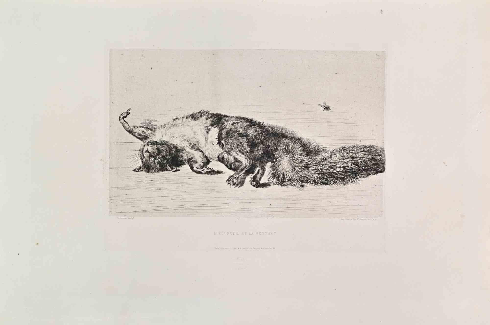 L'Ecurueil et la Mouche? is a black and White etching realized by Jules-Fernand Jacquemartin the 1860s. 

Titled in the lower

Image Size: 24x32

Very good impression.

Realized for the "Société des Aquafortistes. Born on the initiative of the
