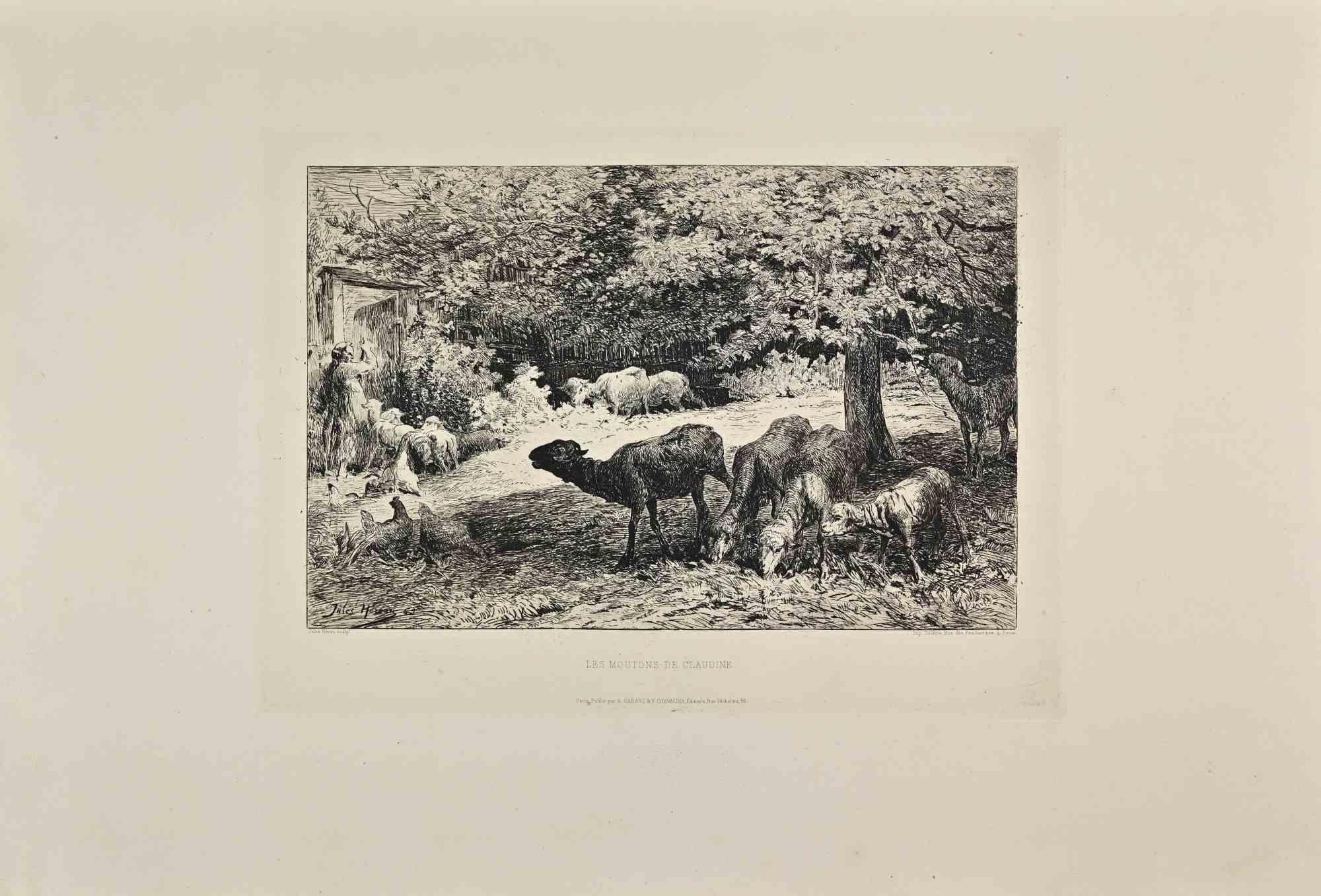 Les Moutons de Claudine is a black and White etching realized by Jules Herau in the Late 19th Century. 

Titled in the lower

Image Size: 23x31

Very good impression.

Realized by Cadart for the "Société des Aquafortistes. Born on the initiative of