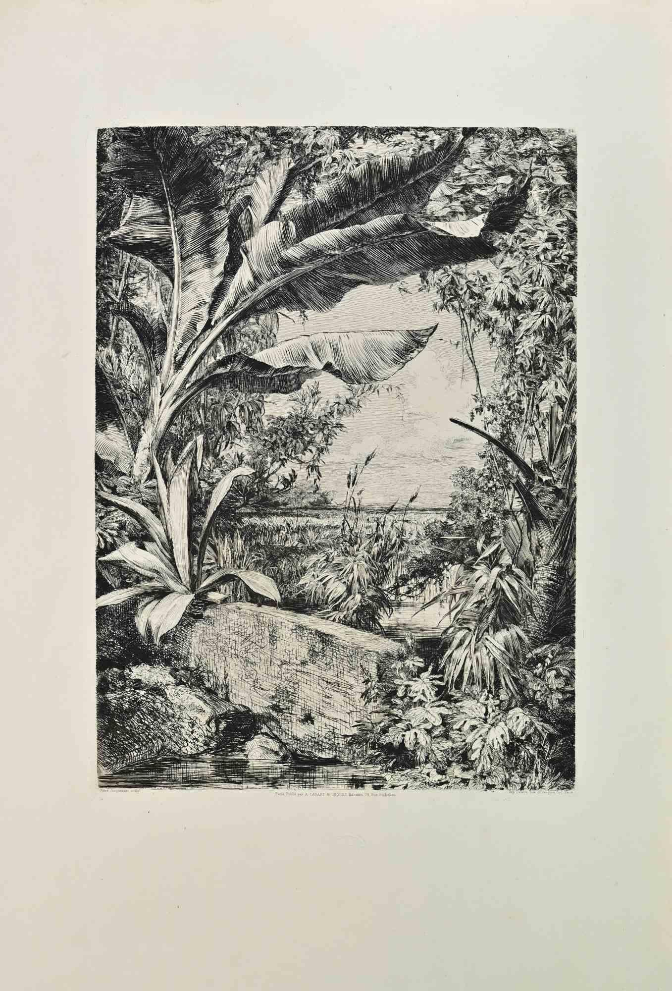 Plants of the Greenhouse is a black and white etching realized by Jules Jacquemart (1837-1880) in 1870s.

Titled in the lower.

Image size: 25.5cmx35cm.

Good condition.

Realized by Cadart for the "Société des Aquafortistes. Born on the initiative