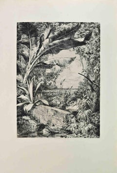 Antique Plants of the Greenhouse - Etching by Jules Jacquemart - 1862