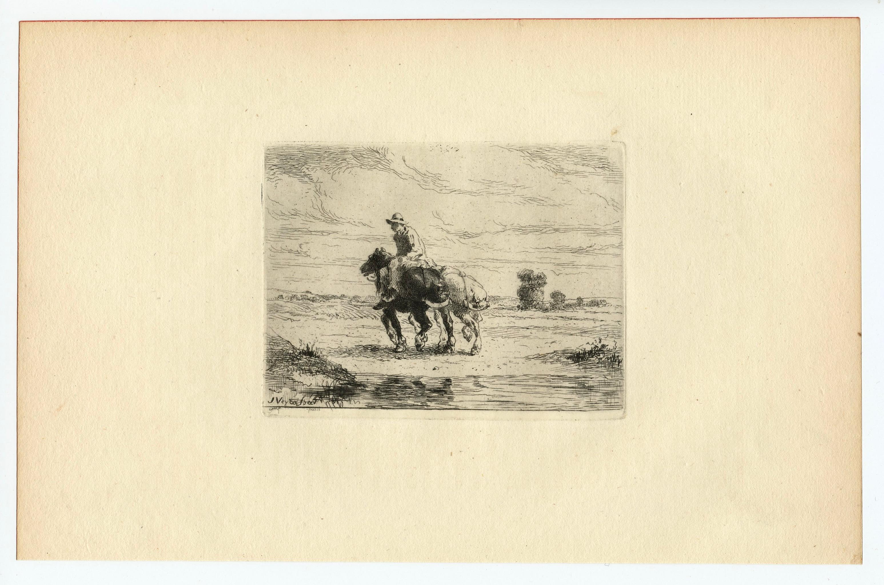 "Boat Horses" original etching