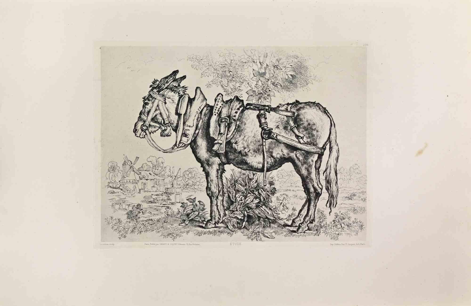 Etude is a black and White etching realized by Jules-Joseph Lecurieux in the 1860s. 

Titled in the lower.

Image size: 23x31.

Very good impression with wide margins and a very fresh inking.

Realized for the "Société des Aquafortistes. Born on the